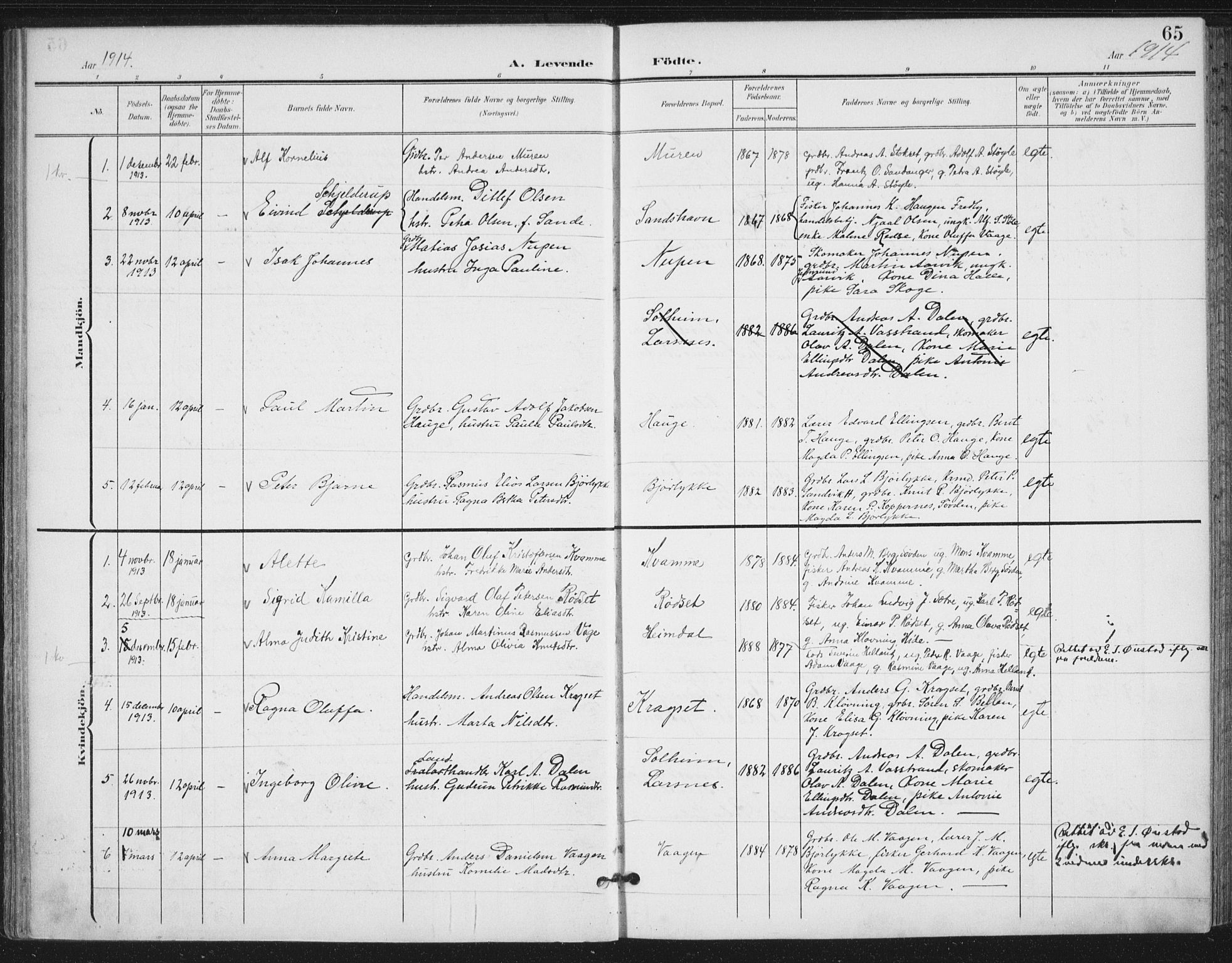 Ministerialprotokoller, klokkerbøker og fødselsregistre - Møre og Romsdal, AV/SAT-A-1454/503/L0038: Parish register (official) no. 503A06, 1901-1917, p. 65