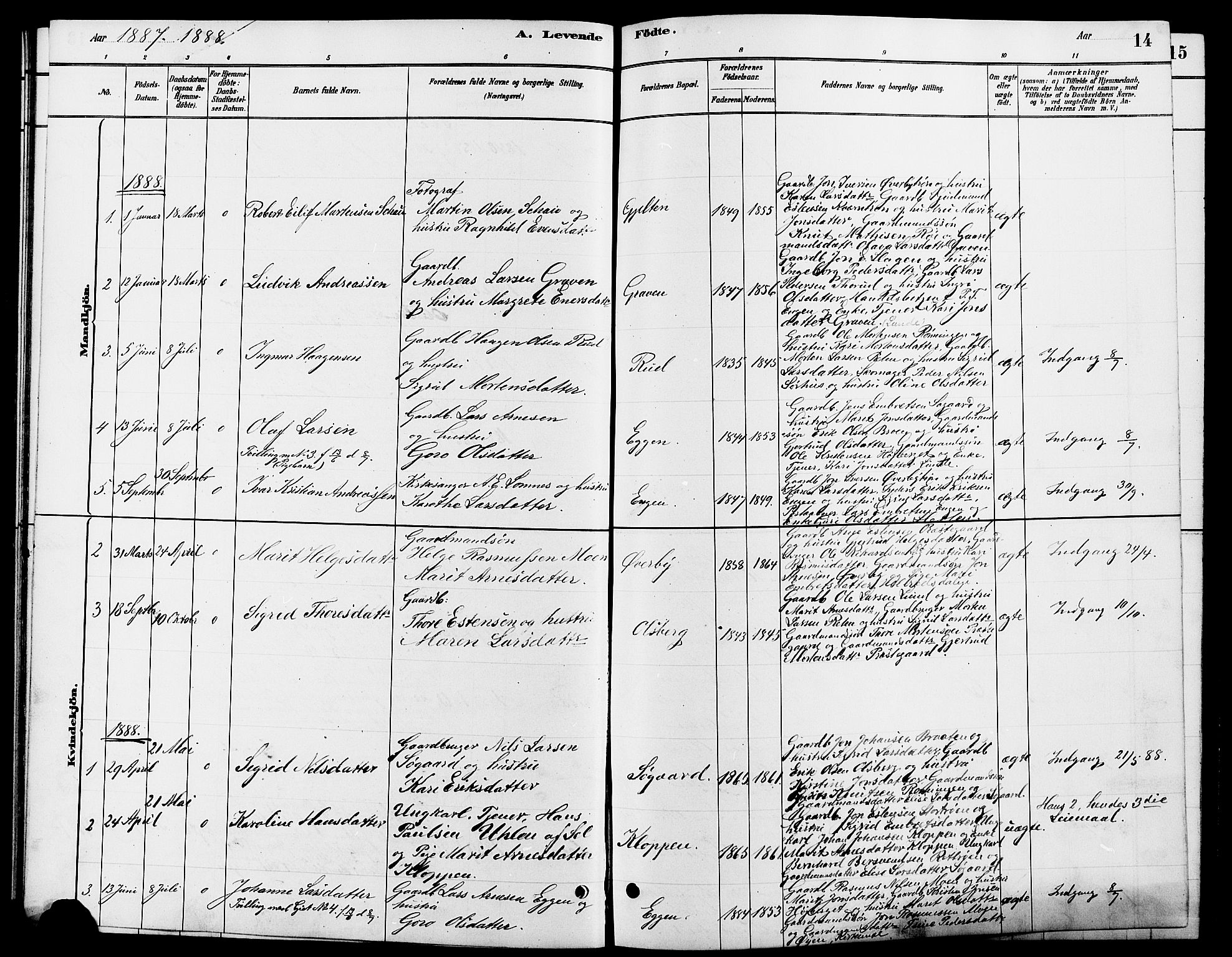 Tynset prestekontor, SAH/PREST-058/H/Ha/Hab/L0007: Parish register (copy) no. 7, 1880-1901, p. 14