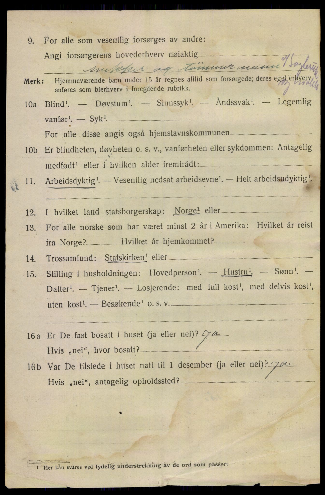 SAKO, 1920 census for Skien, 1920, p. 32175