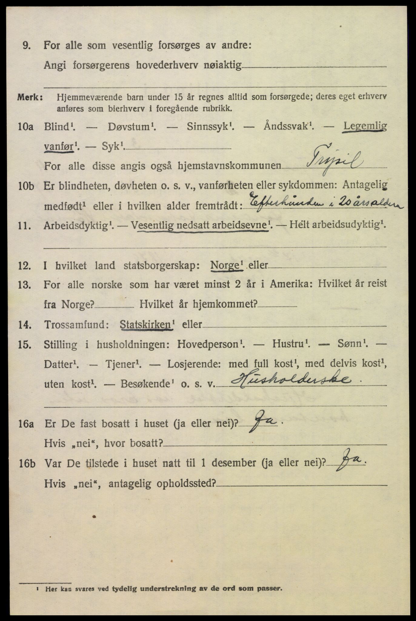 SAH, 1920 census for Trysil, 1920, p. 6984