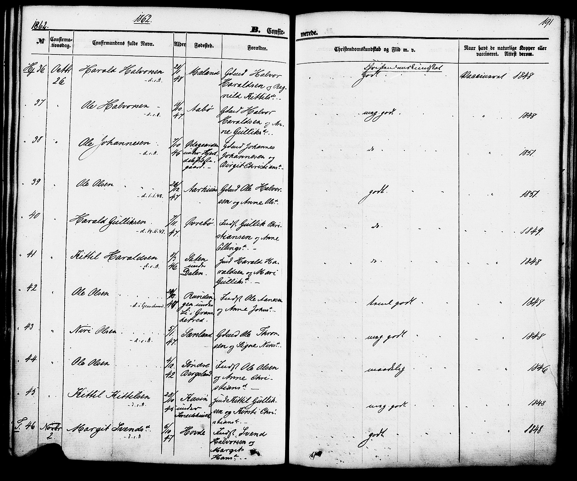 Hjartdal kirkebøker, SAKO/A-270/F/Fa/L0009: Parish register (official) no. I 9, 1860-1879, p. 191