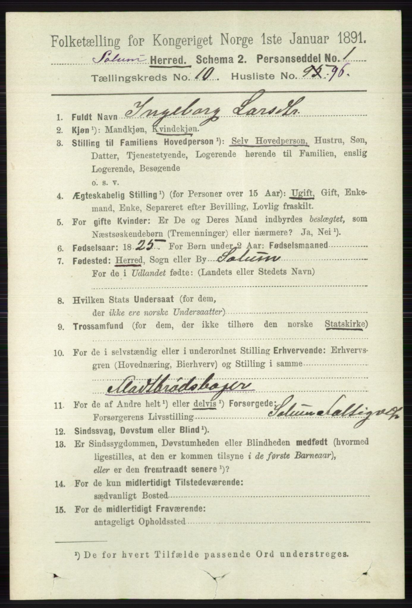 RA, 1891 census for 0818 Solum, 1891, p. 5231