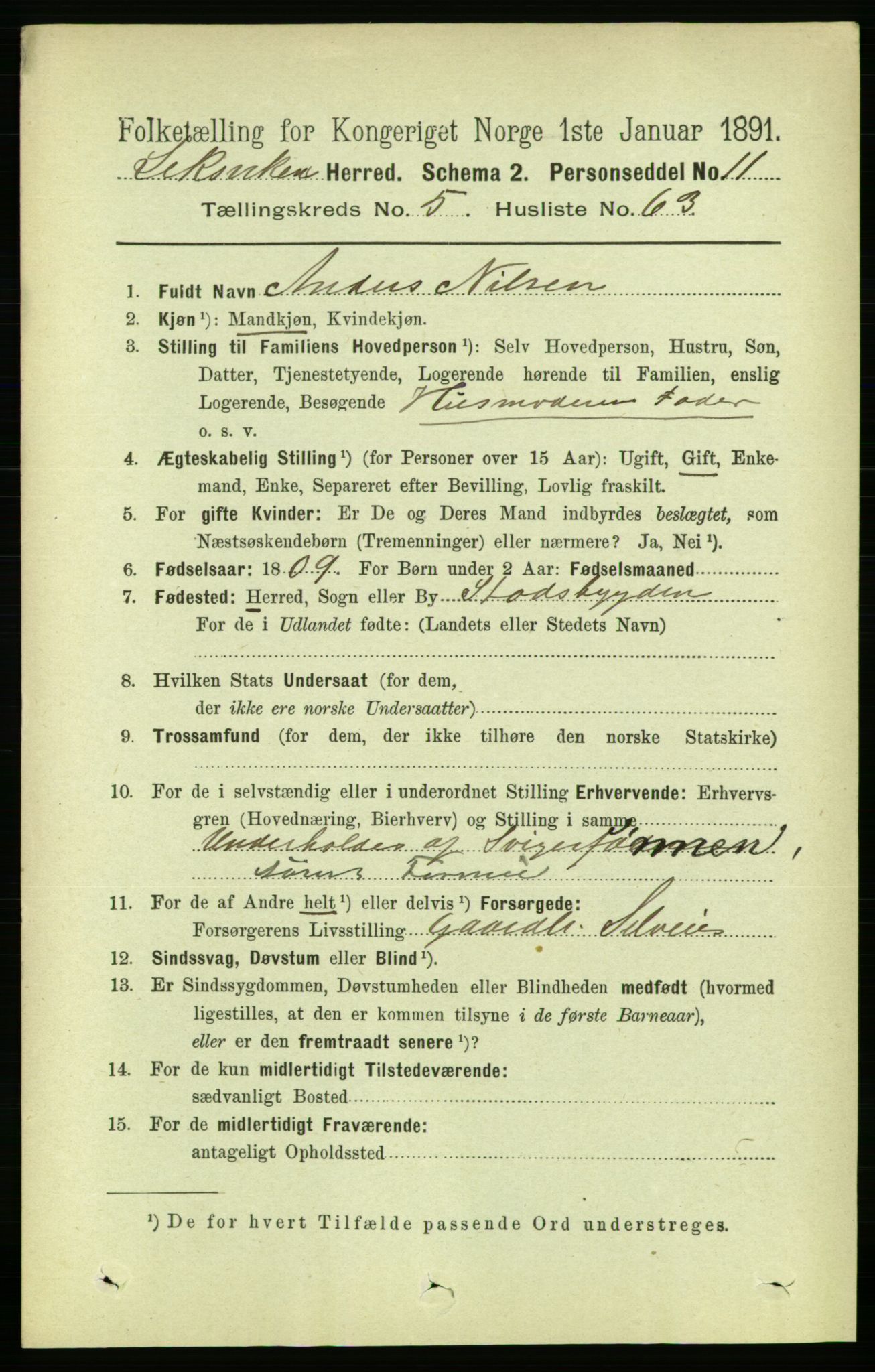 RA, 1891 census for 1718 Leksvik, 1891, p. 3000