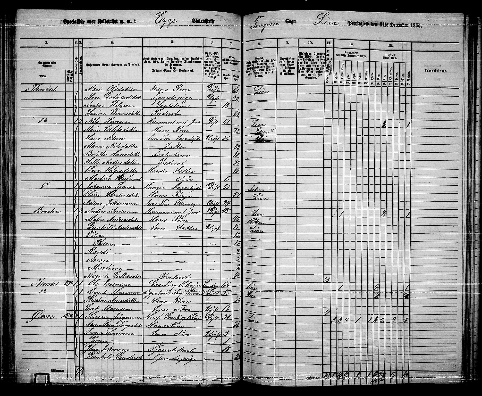 RA, 1865 census for Lier, 1865, p. 90