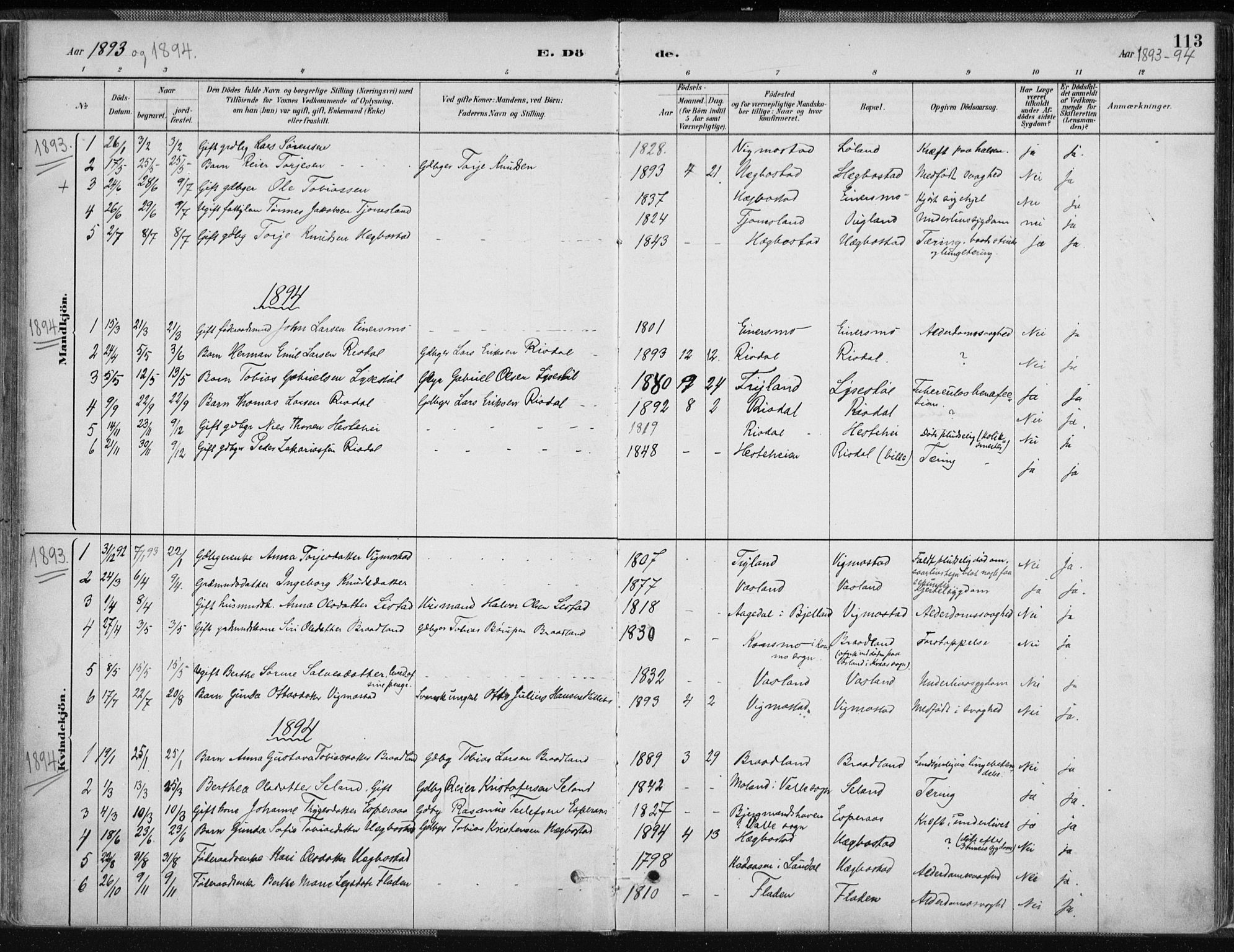 Nord-Audnedal sokneprestkontor, AV/SAK-1111-0032/F/Fa/Fab/L0003: Parish register (official) no. A 3, 1882-1900, p. 113