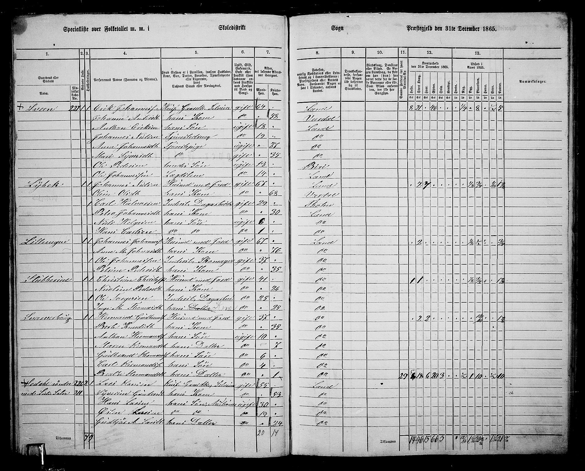 RA, 1865 census for Land, 1865, p. 257