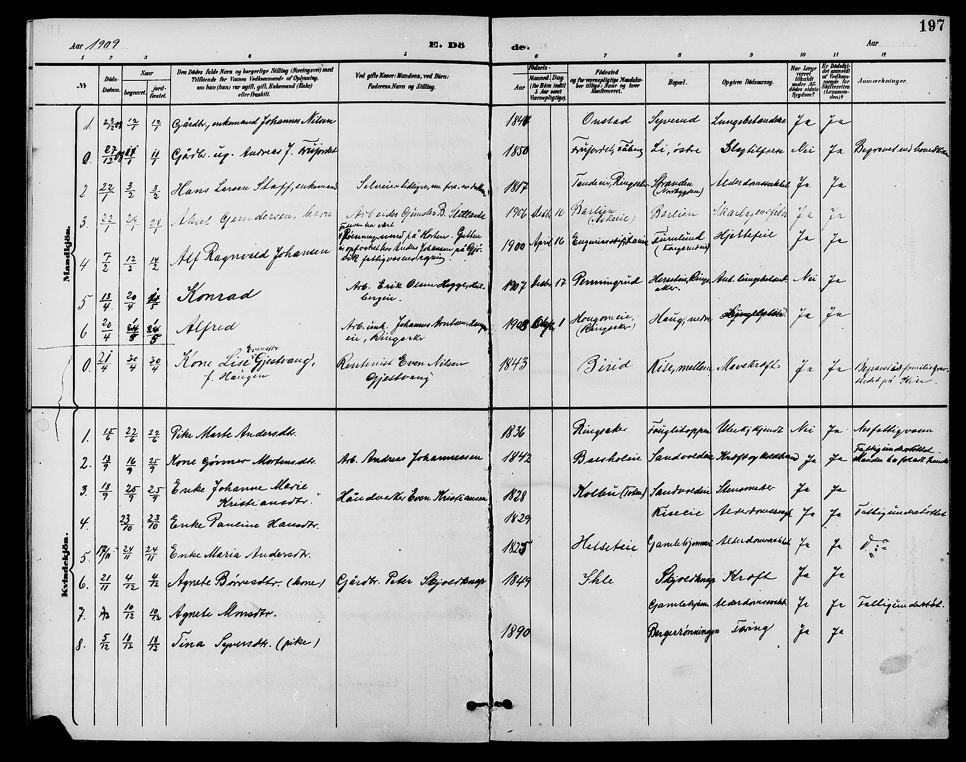 Nes prestekontor, Hedmark, AV/SAH-PREST-020/L/La/L0007: Parish register (copy) no. 7, 1892-1912, p. 197