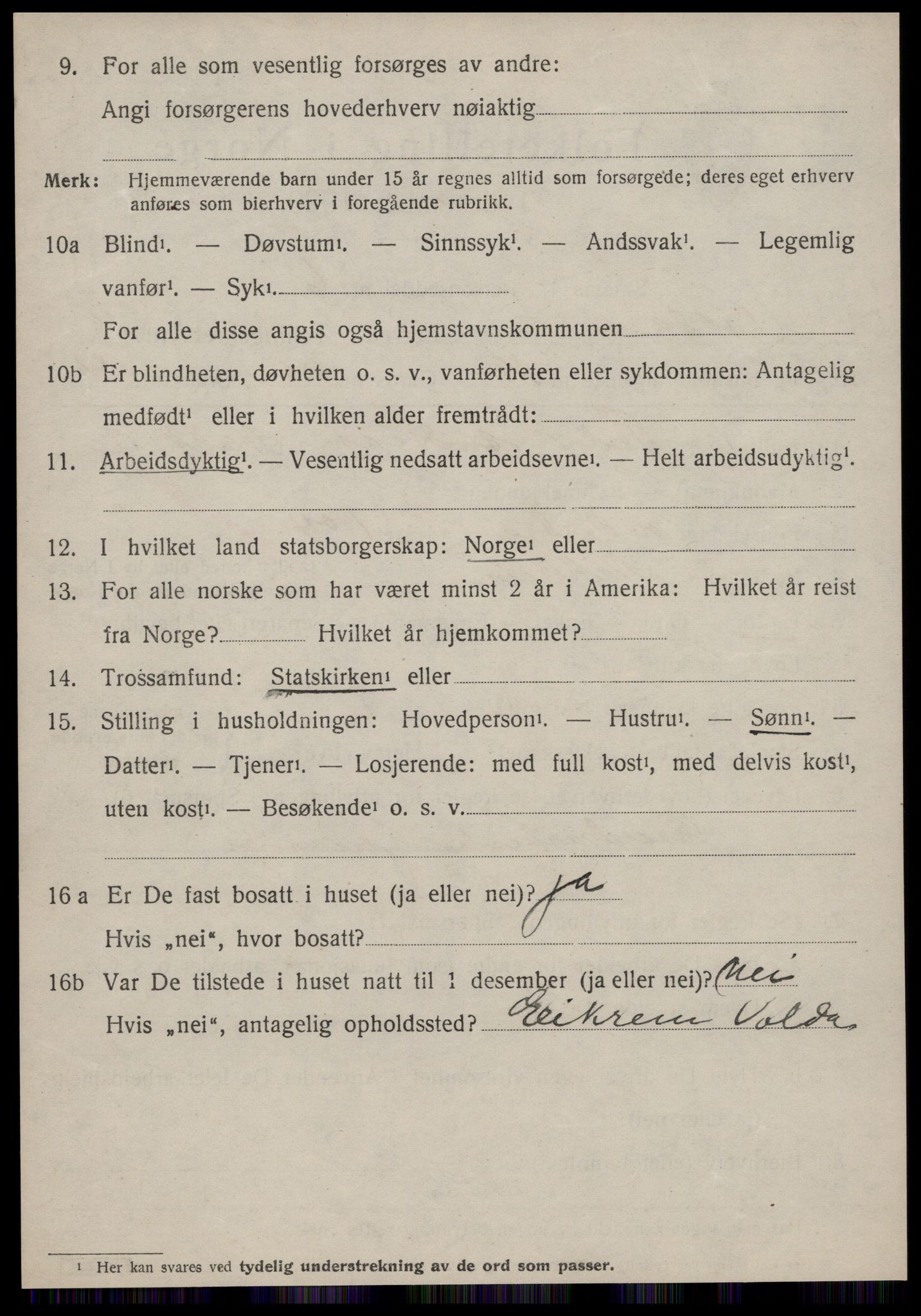 SAT, 1920 census for Volda, 1920, p. 13151