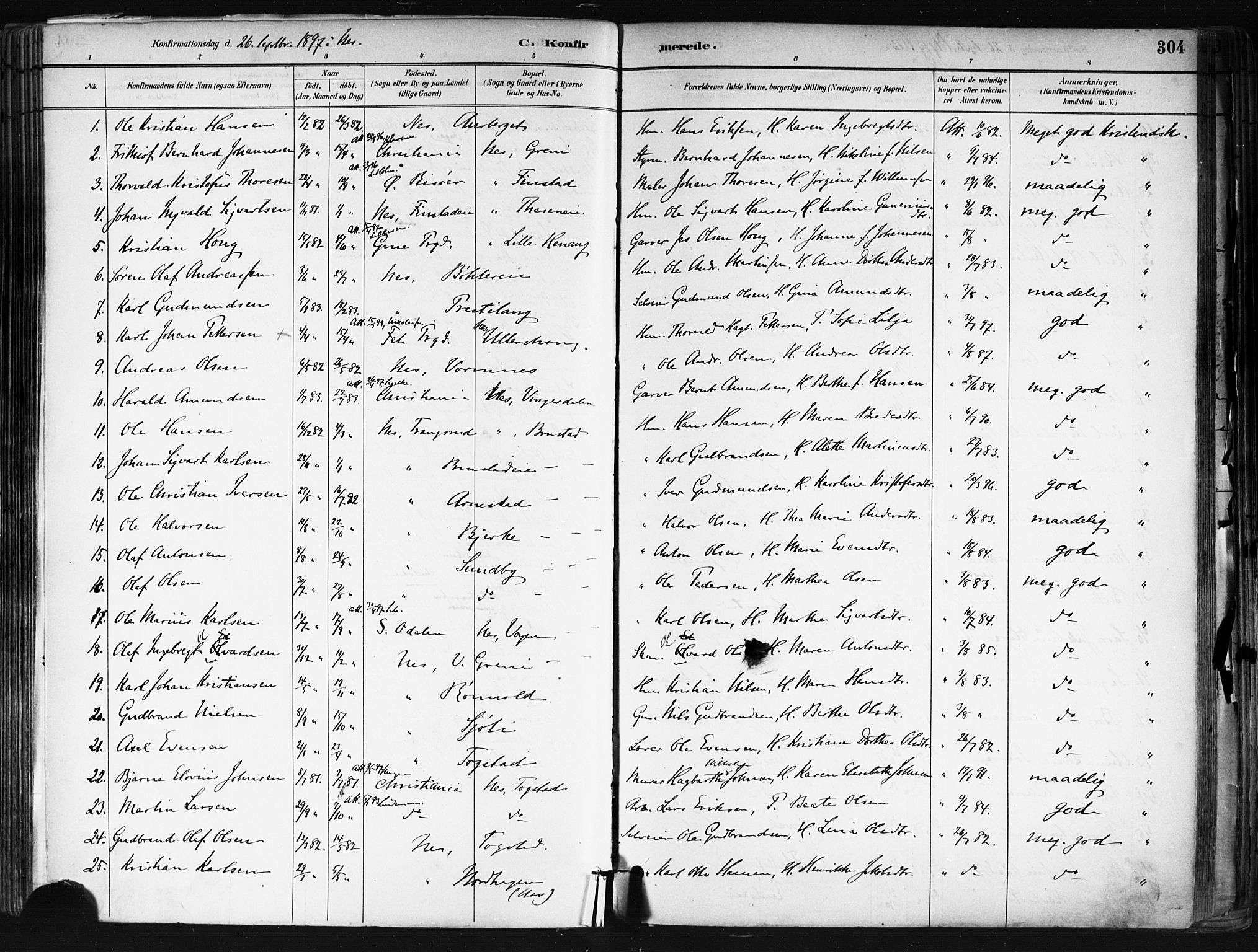 Nes prestekontor Kirkebøker, SAO/A-10410/F/Fa/L0010: Parish register (official) no. I 10, 1883-1898, p. 304