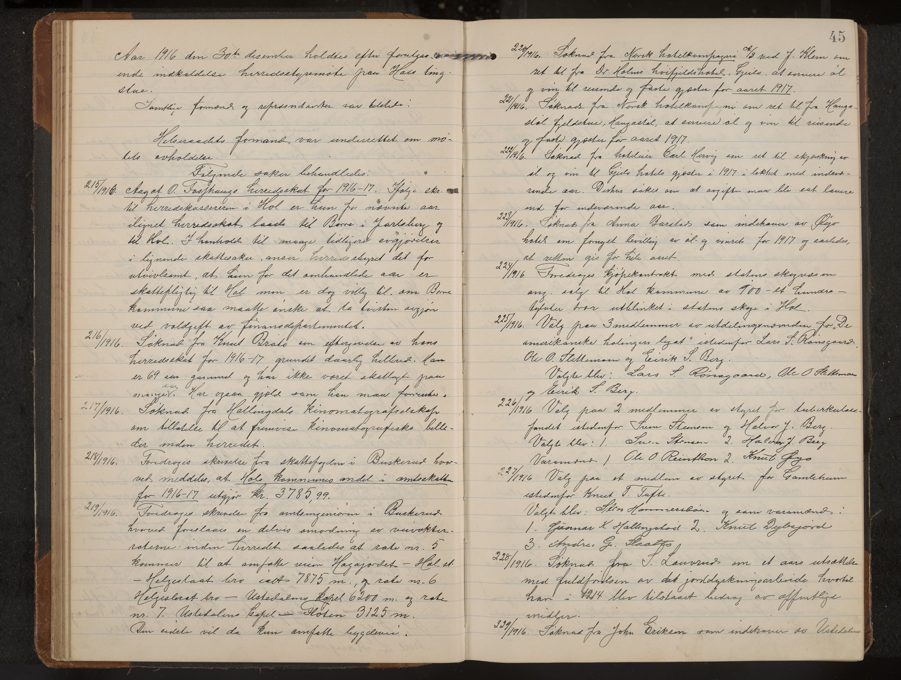 Hol formannskap og sentraladministrasjon, IKAK/0620021-1/A/L0006: Møtebok, 1916-1922, p. 45