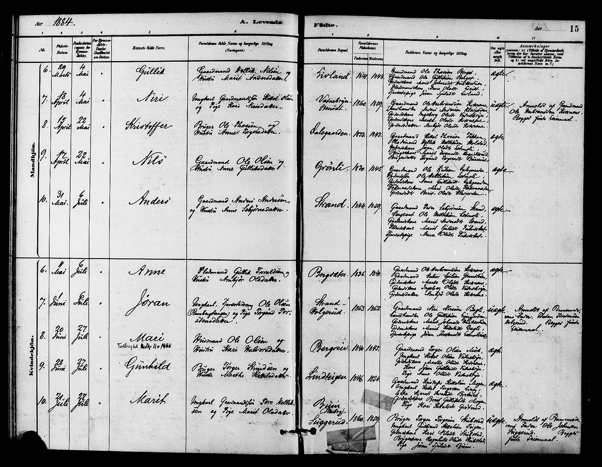 Flesberg kirkebøker, AV/SAKO-A-18/F/Fc/L0001: Parish register (official) no. III 1, 1879-1905, p. 15