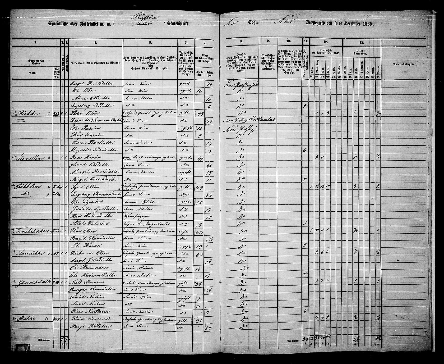 RA, 1865 census for Nes, 1865, p. 192