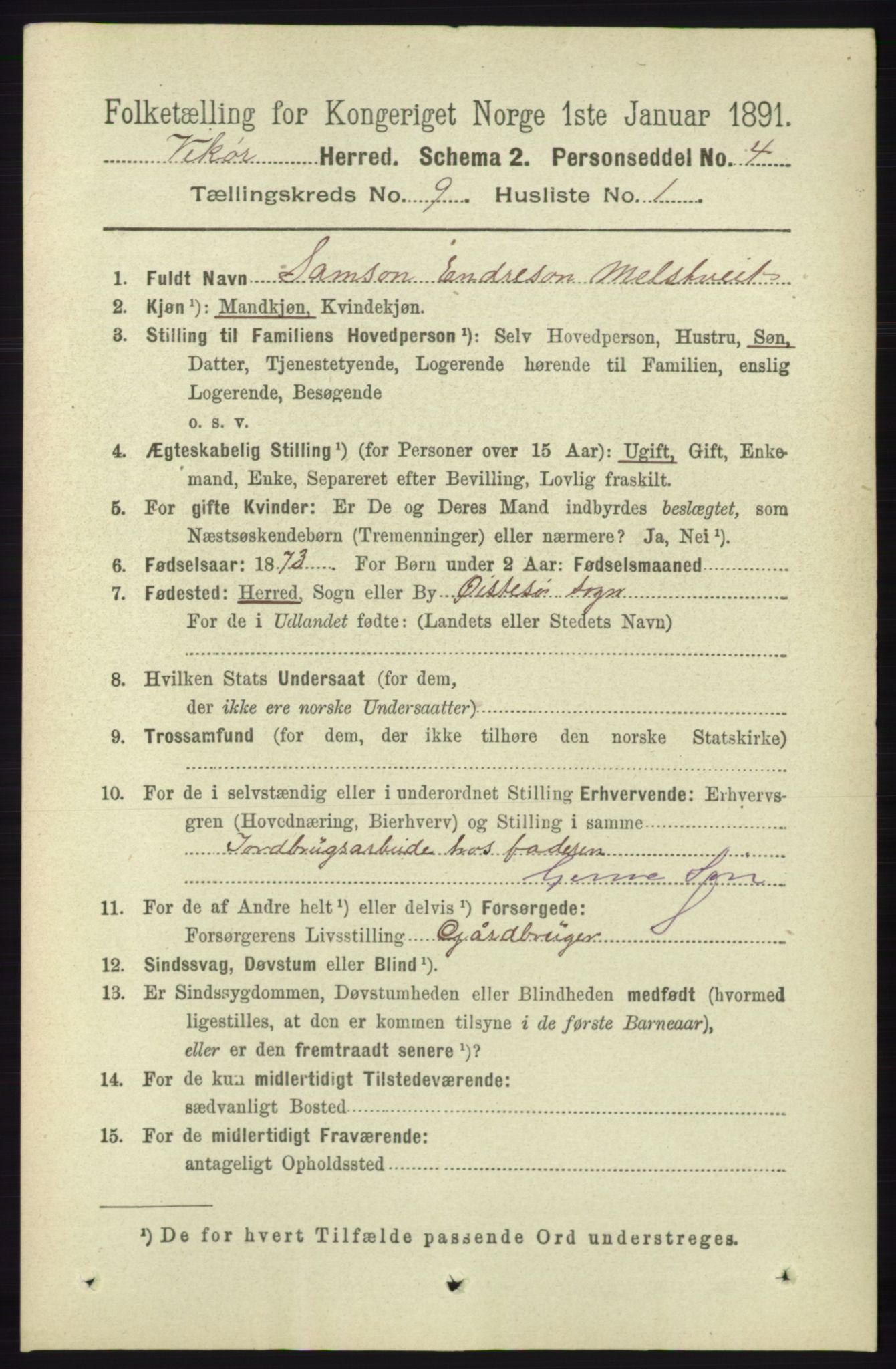 RA, 1891 census for 1238 Vikør, 1891, p. 2662