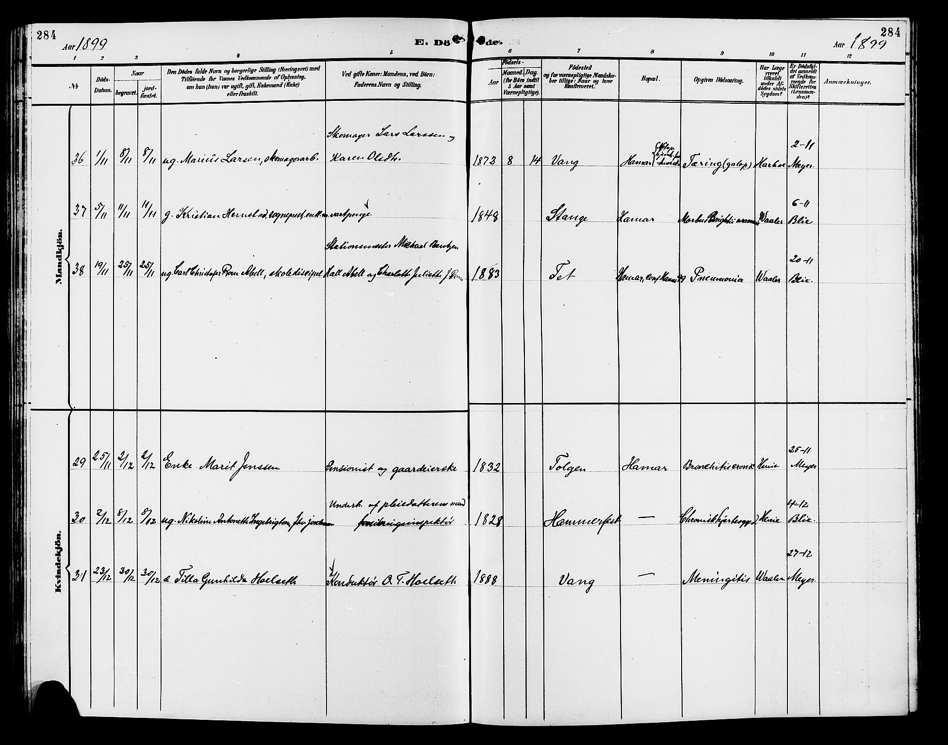 Vang prestekontor, Hedmark, AV/SAH-PREST-008/H/Ha/Hab/L0013: Parish register (copy) no. 13, 1890-1899, p. 284