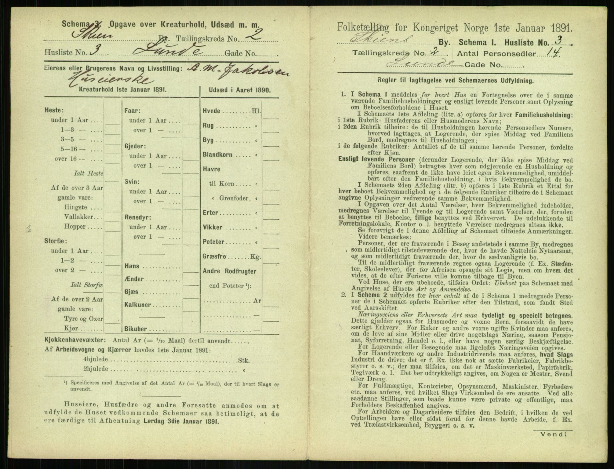 RA, 1891 census for 0806 Skien, 1891, p. 156