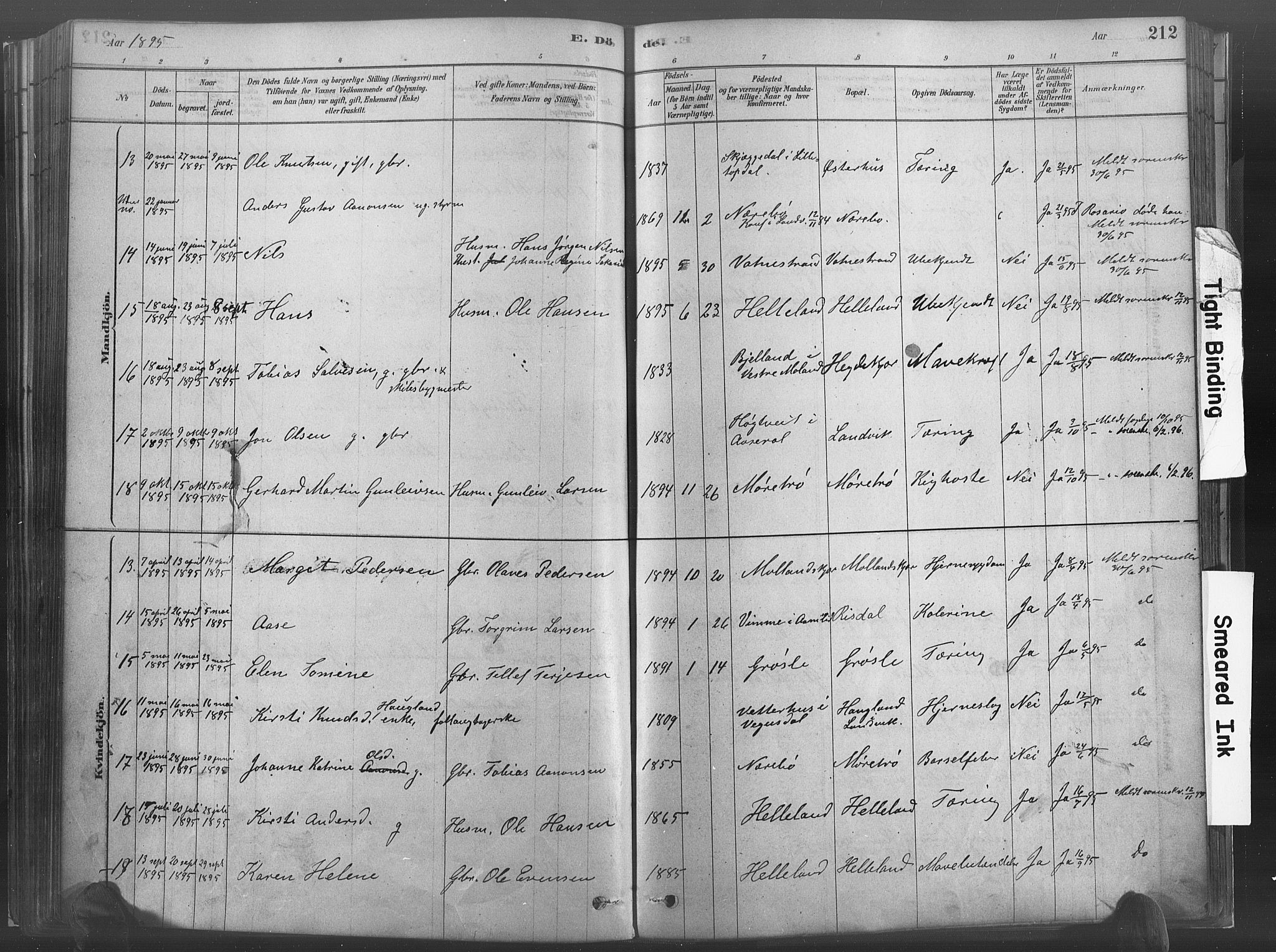 Hommedal sokneprestkontor, AV/SAK-1111-0023/F/Fa/Fab/L0006: Parish register (official) no. A 6, 1878-1897, p. 212