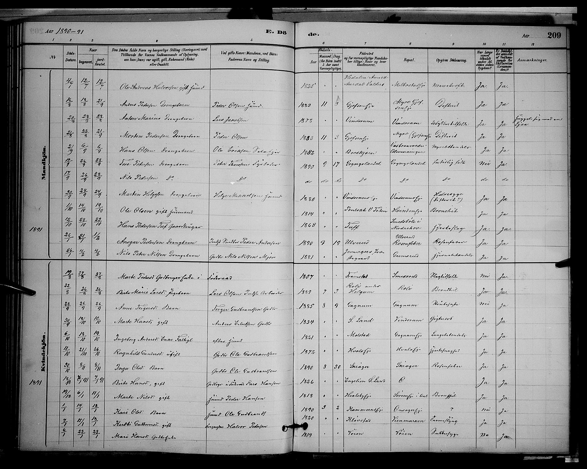 Gran prestekontor, SAH/PREST-112/H/Ha/Hab/L0002: Parish register (copy) no. 2, 1879-1892, p. 209