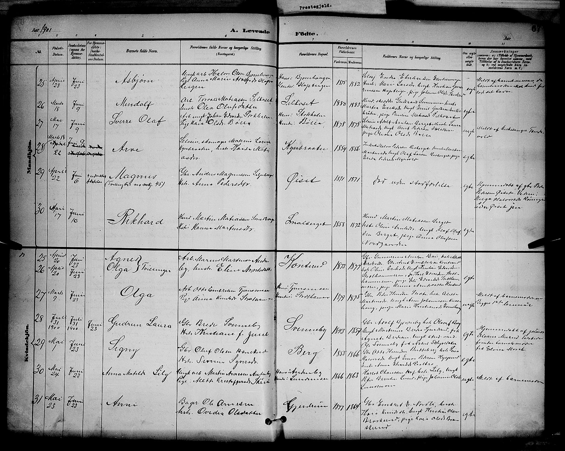 Våler prestekontor, Hedmark, AV/SAH-PREST-040/H/Ha/Hab/L0001: Parish register (copy) no. 1, 1894-1904, p. 67