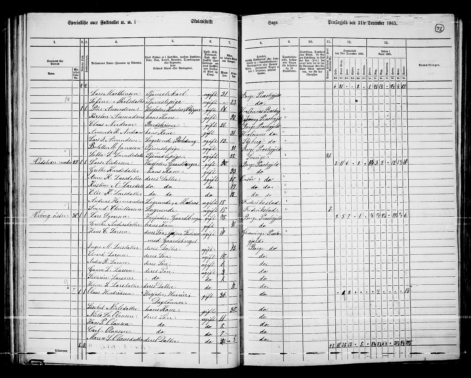 RA, 1865 census for Borge, 1865, p. 67