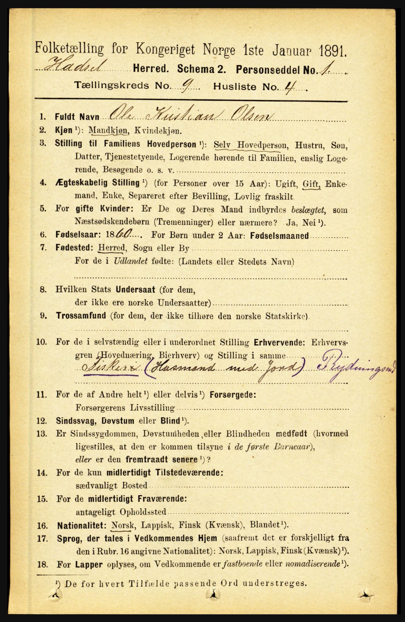 RA, 1891 census for 1866 Hadsel, 1891, p. 3933