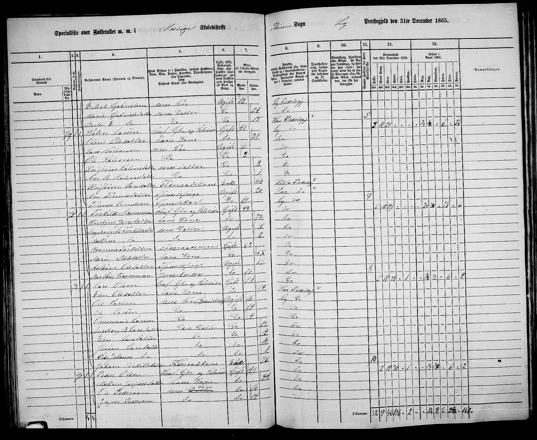 RA, 1865 census for Lye, 1865, p. 89