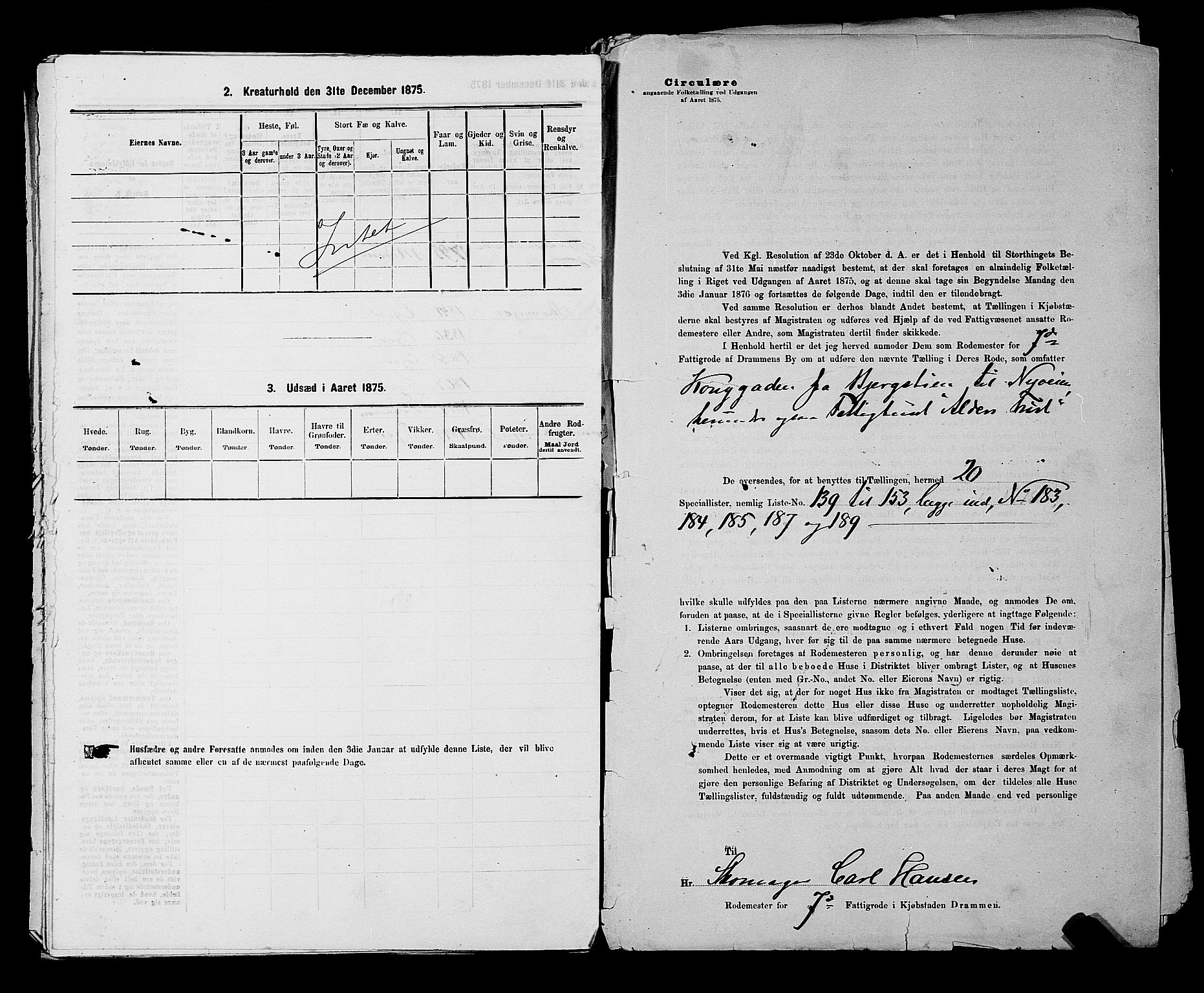 SAKO, 1875 census for 0602 Drammen, 1875, p. 620