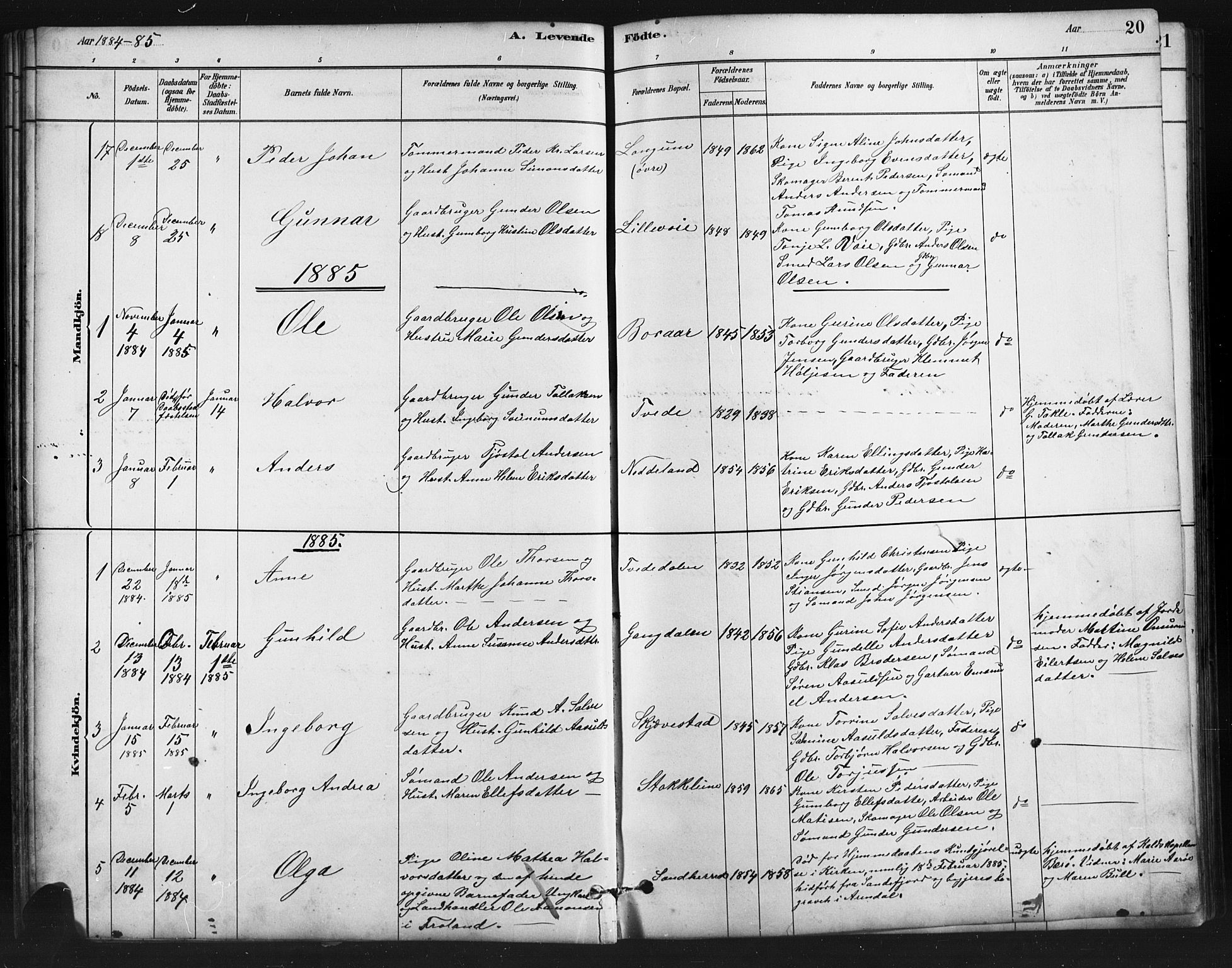 Austre Moland sokneprestkontor, AV/SAK-1111-0001/F/Fb/Fba/L0003: Parish register (copy) no. B 3, 1879-1914, p. 20