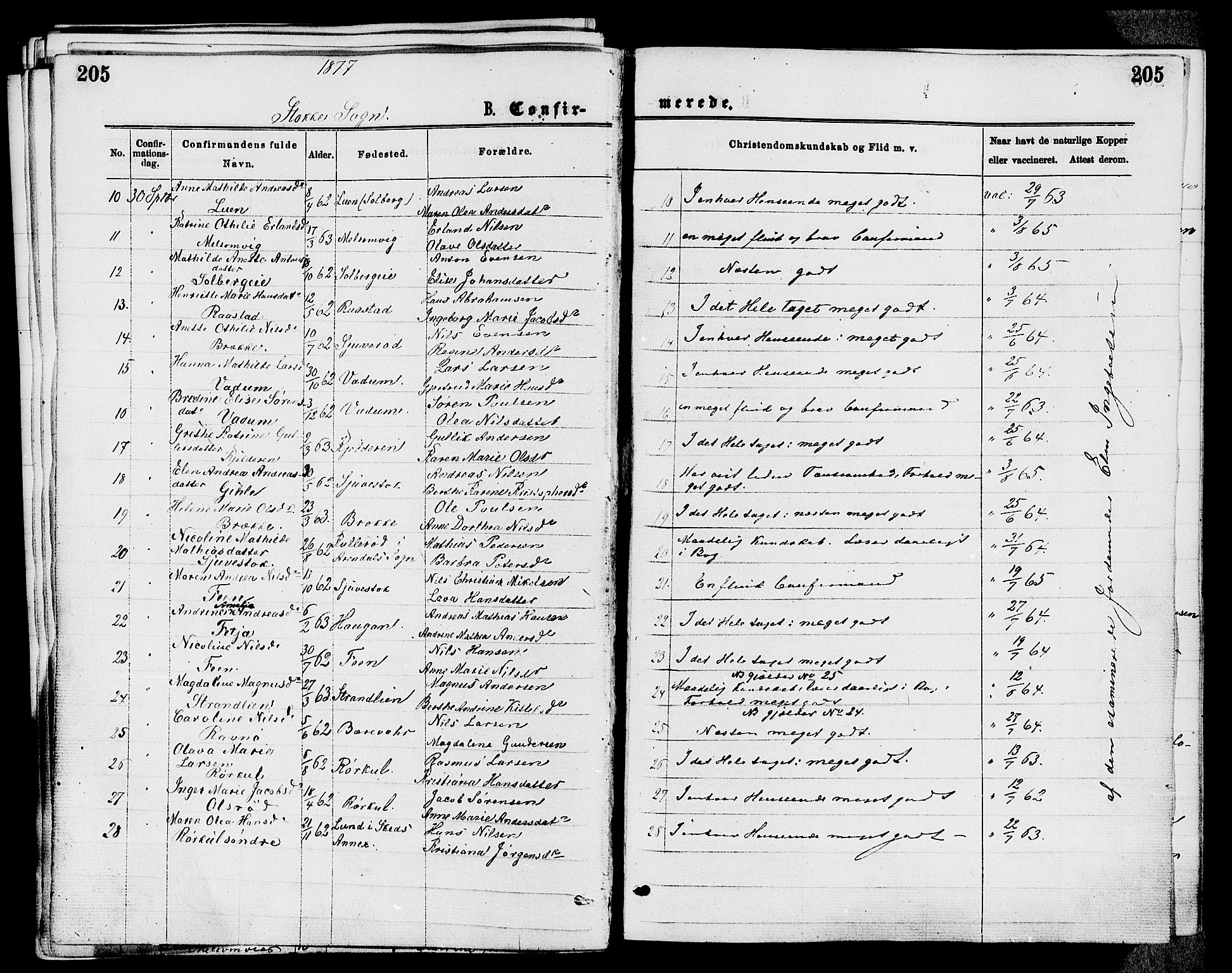 Stokke kirkebøker, AV/SAKO-A-320/F/Fa/L0009: Parish register (official) no. I 9, 1872-1883, p. 205