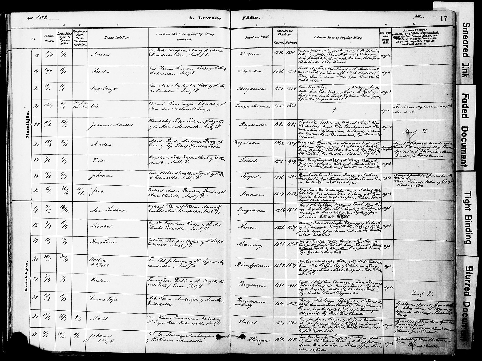 Ministerialprotokoller, klokkerbøker og fødselsregistre - Sør-Trøndelag, AV/SAT-A-1456/681/L0933: Parish register (official) no. 681A11, 1879-1890, p. 17