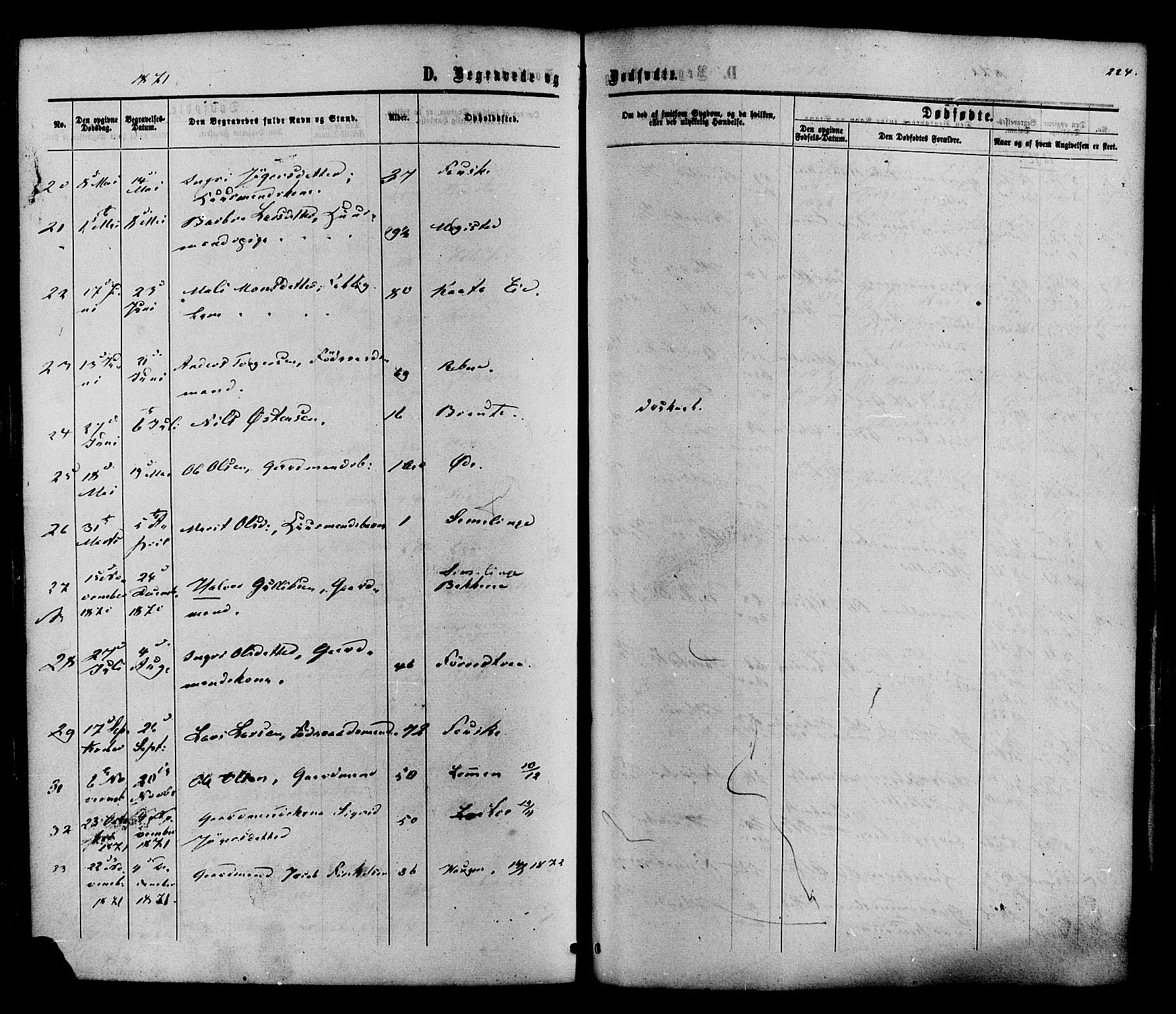 Vestre Slidre prestekontor, SAH/PREST-136/H/Ha/Haa/L0003: Parish register (official) no. 3, 1865-1880, p. 224