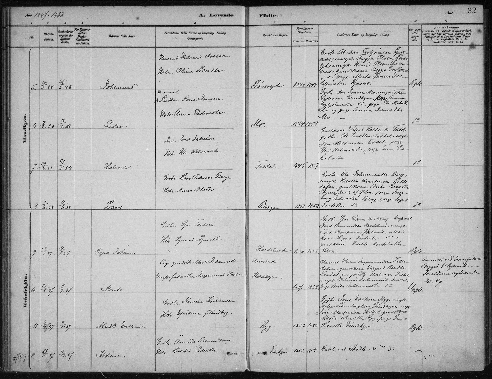 Etne sokneprestembete, AV/SAB-A-75001/H/Haa: Parish register (official) no. D  1, 1879-1919, p. 32