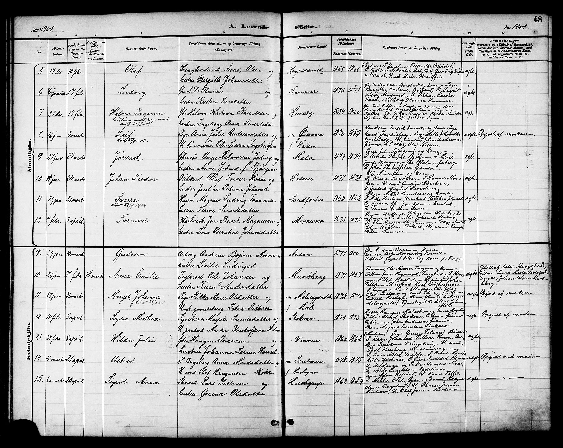 Ministerialprotokoller, klokkerbøker og fødselsregistre - Nord-Trøndelag, SAT/A-1458/709/L0087: Parish register (copy) no. 709C01, 1892-1913, p. 48