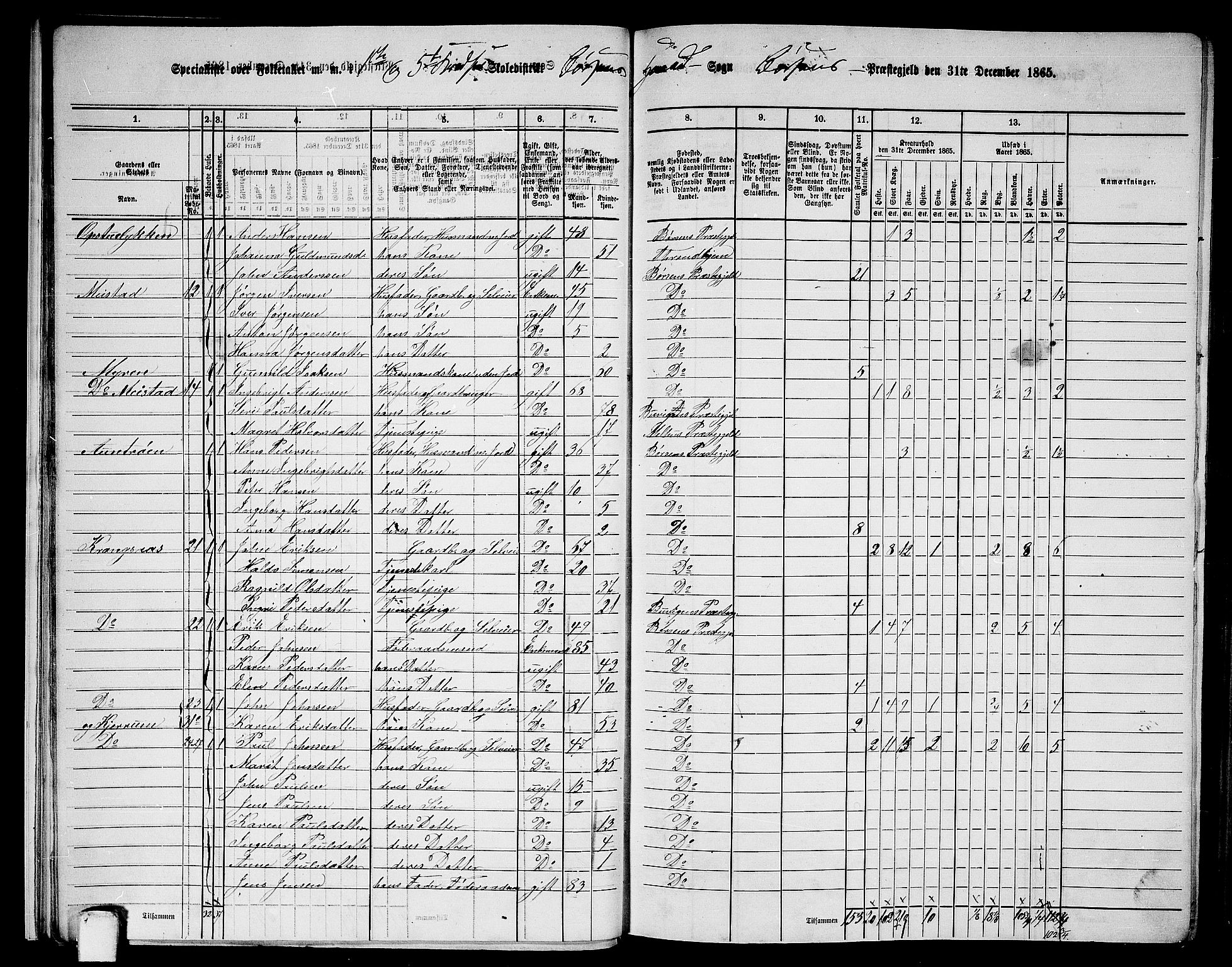 RA, 1865 census for Børsa, 1865, p. 16