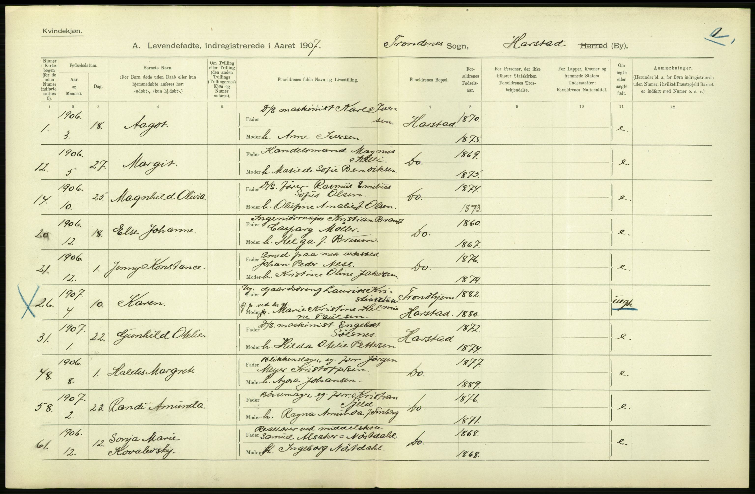 Statistisk sentralbyrå, Sosiodemografiske emner, Befolkning, AV/RA-S-2228/D/Df/Dfa/Dfae/L0046: Tromsø amt: Levendefødte menn og kvinner. Bygder og byer., 1907, p. 496