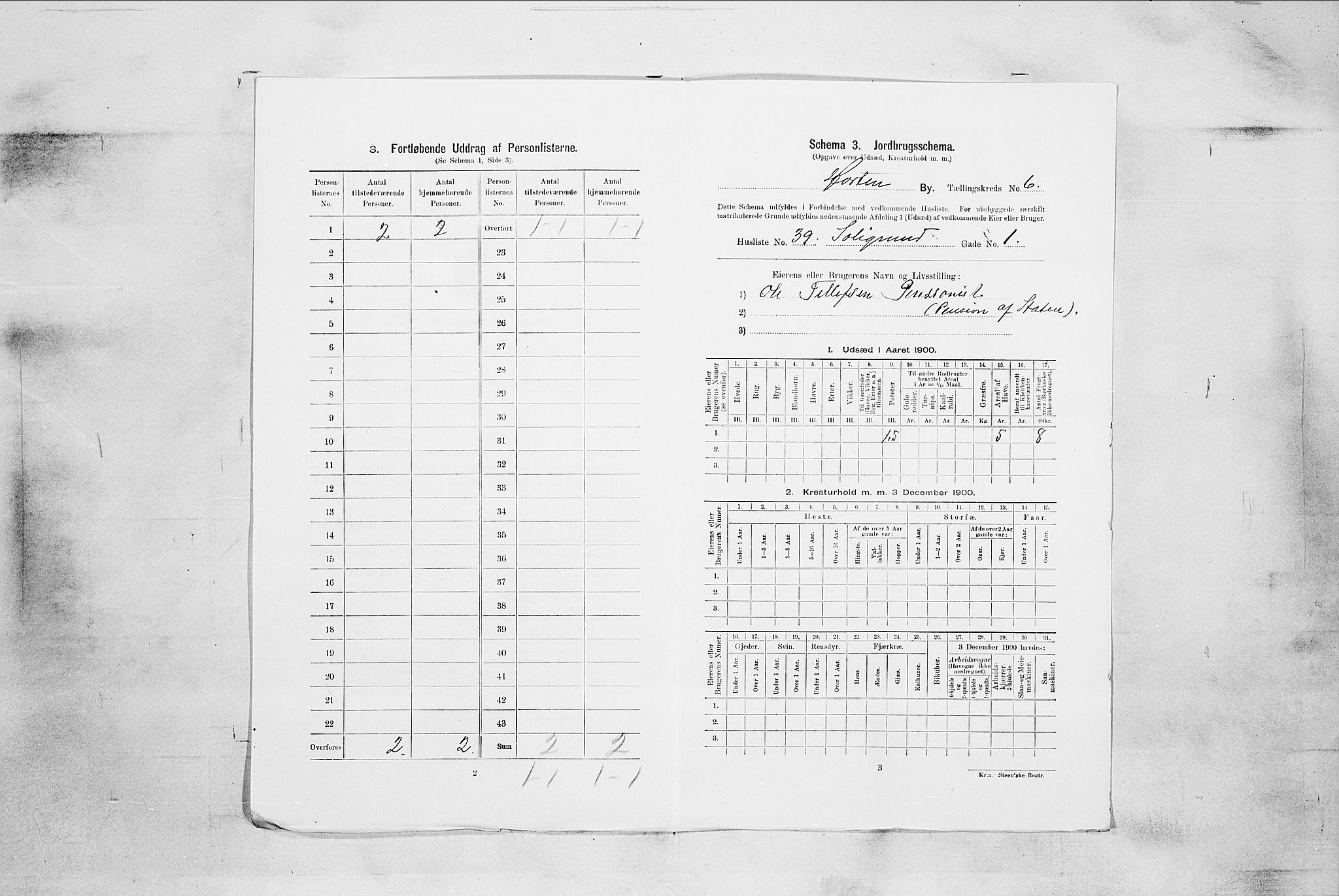 RA, 1900 census for Horten, 1900, p. 4581