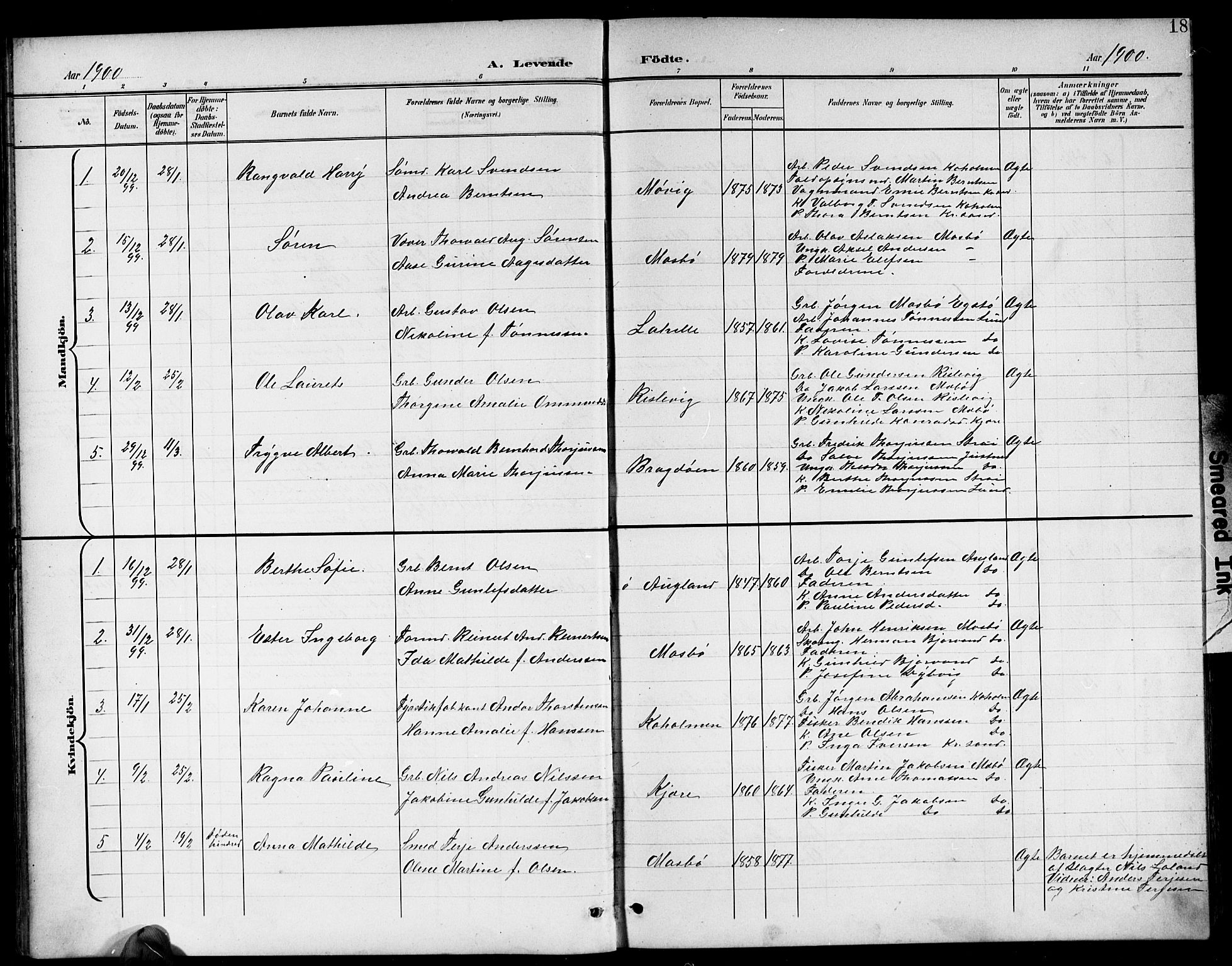 Oddernes sokneprestkontor, AV/SAK-1111-0033/F/Fb/Fba/L0009: Parish register (copy) no. B 9, 1899-1923, p. 18