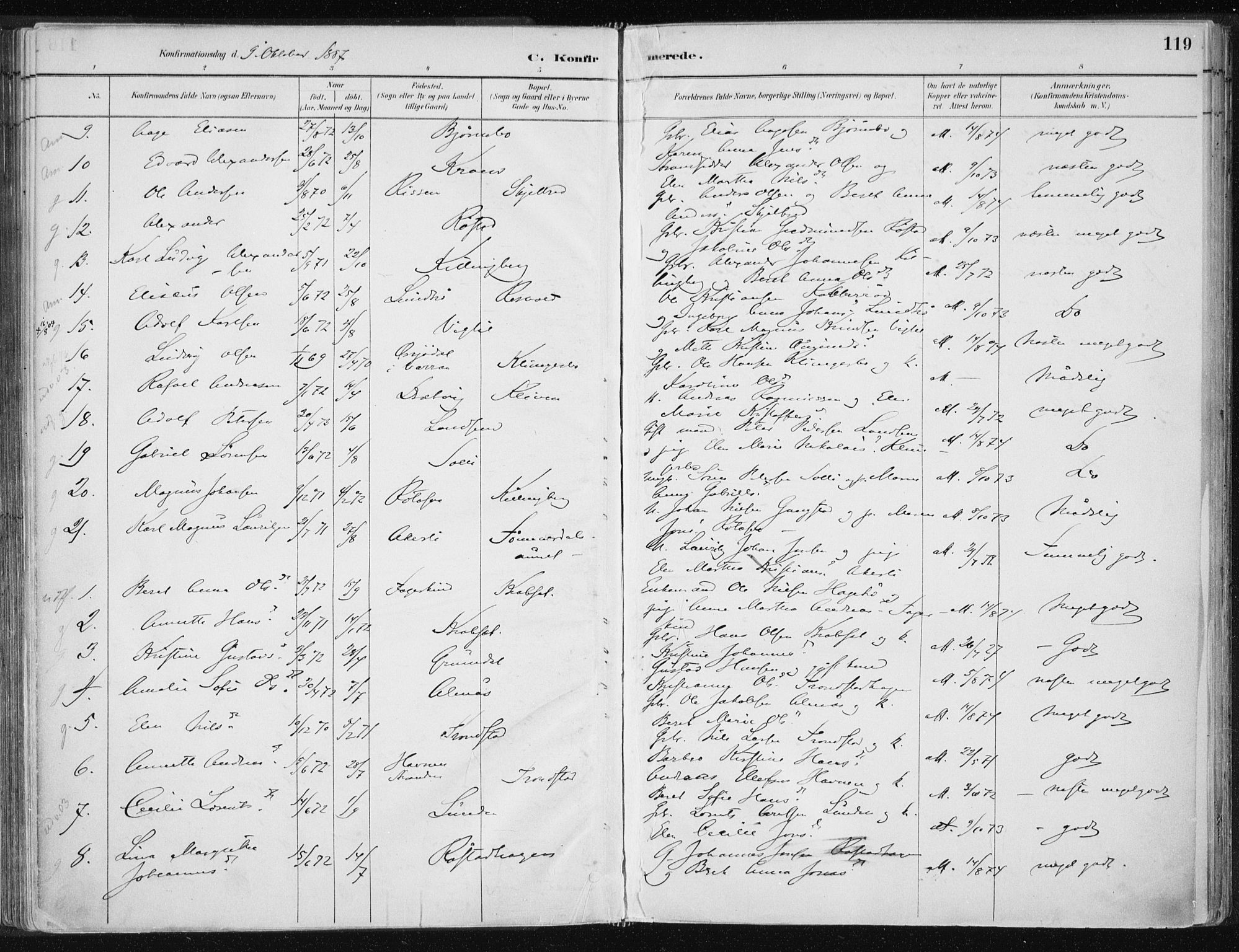 Ministerialprotokoller, klokkerbøker og fødselsregistre - Nord-Trøndelag, AV/SAT-A-1458/701/L0010: Parish register (official) no. 701A10, 1883-1899, p. 119