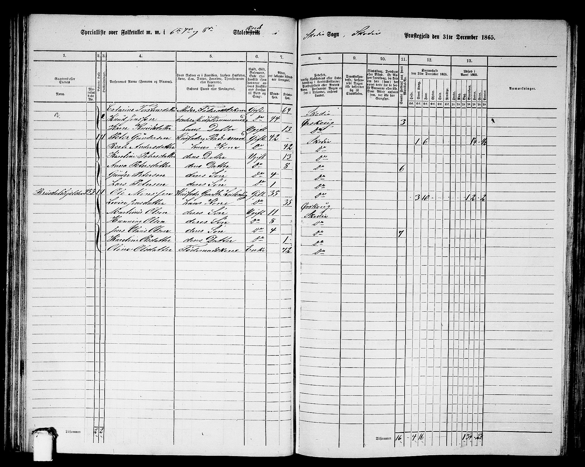 RA, 1865 census for Skodje, 1865, p. 56