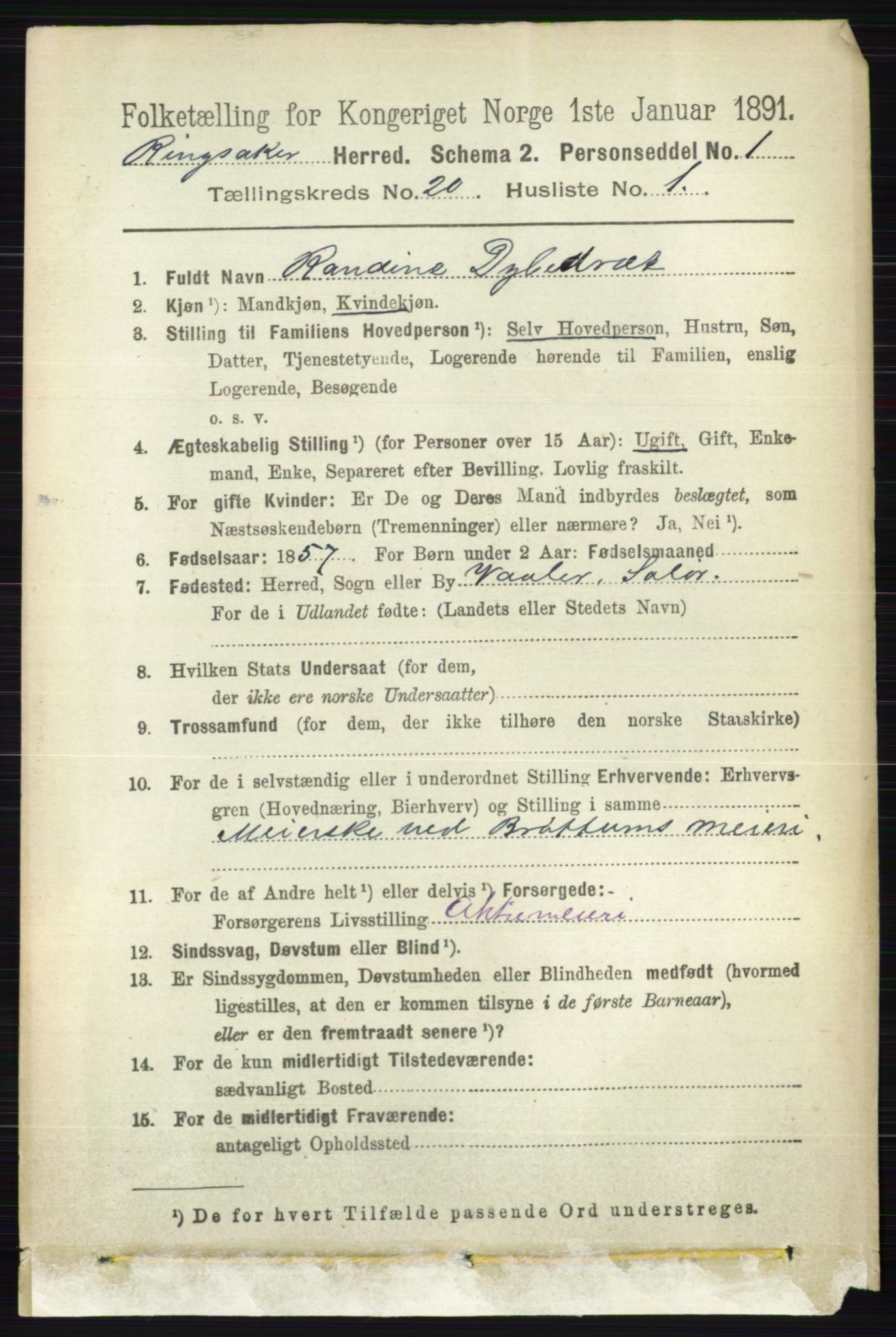 RA, 1891 census for 0412 Ringsaker, 1891, p. 11105