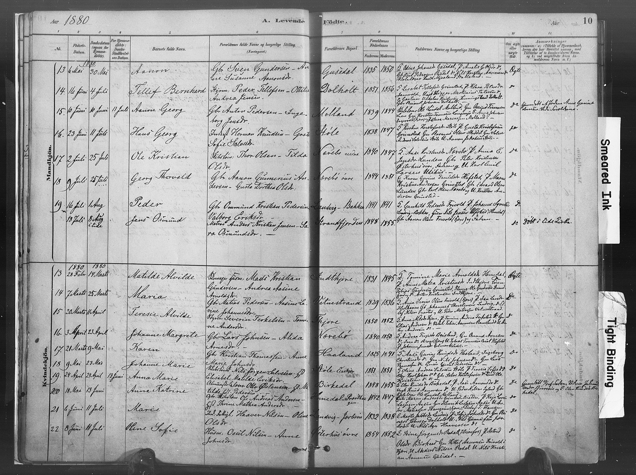 Hommedal sokneprestkontor, SAK/1111-0023/F/Fa/Fab/L0006: Parish register (official) no. A 6, 1878-1897, p. 10