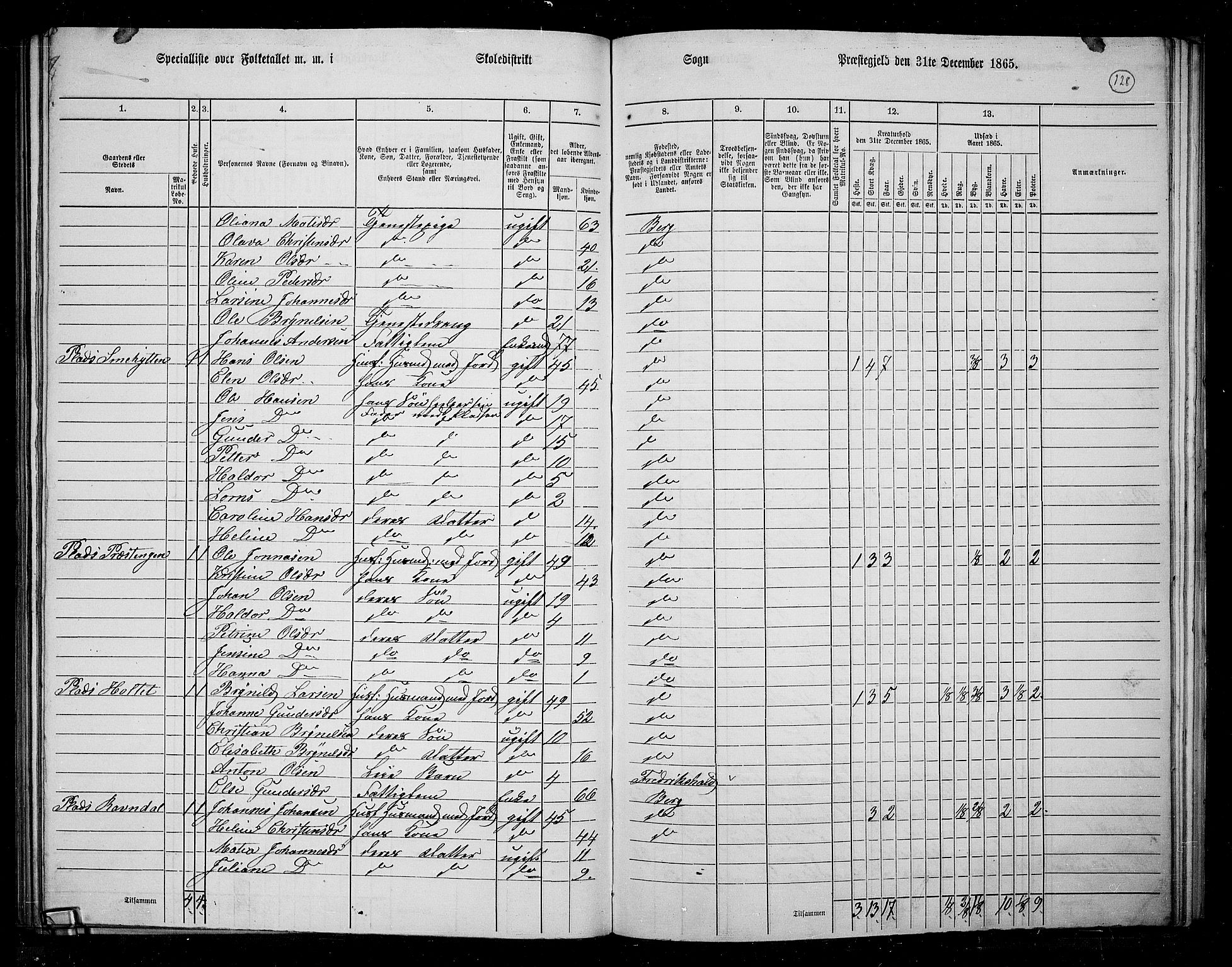 RA, 1865 census for Berg, 1865, p. 111