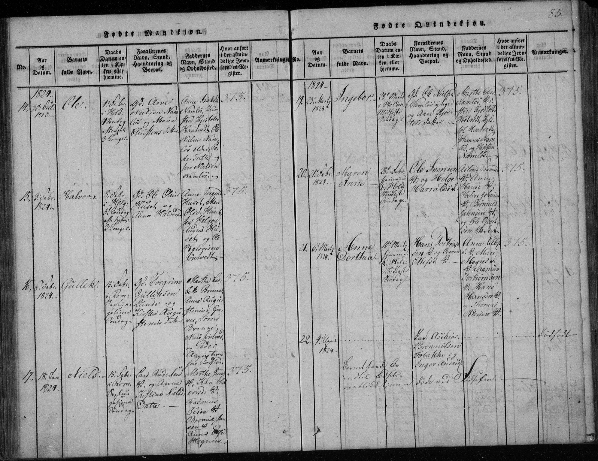 Holla kirkebøker, AV/SAKO-A-272/F/Fa/L0003: Parish register (official) no. 3, 1815-1830, p. 85