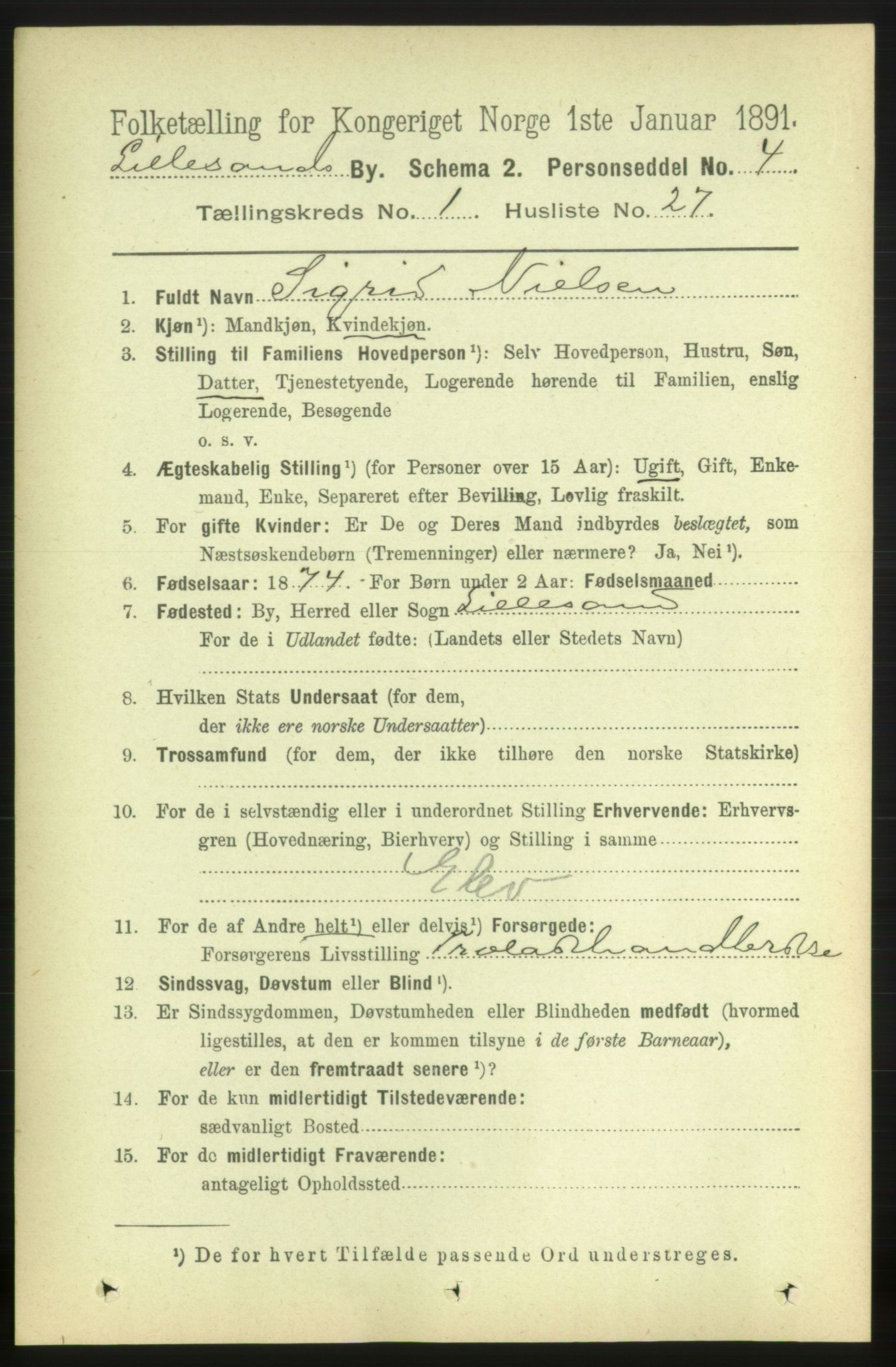 RA, 1891 census for 0905 Lillesand, 1891, p. 166