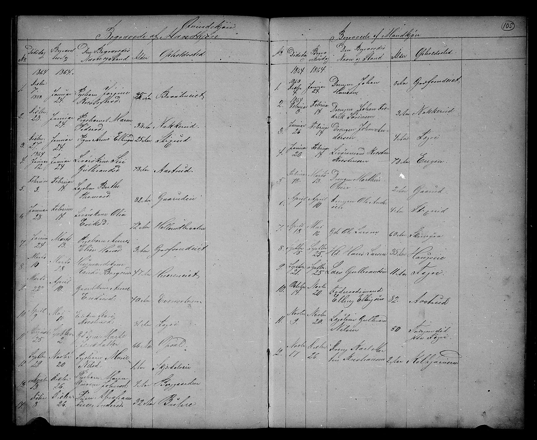 Hole kirkebøker, SAKO/A-228/G/Gb/L0001: Parish register (copy) no. II 1, 1859-1878, p. 105
