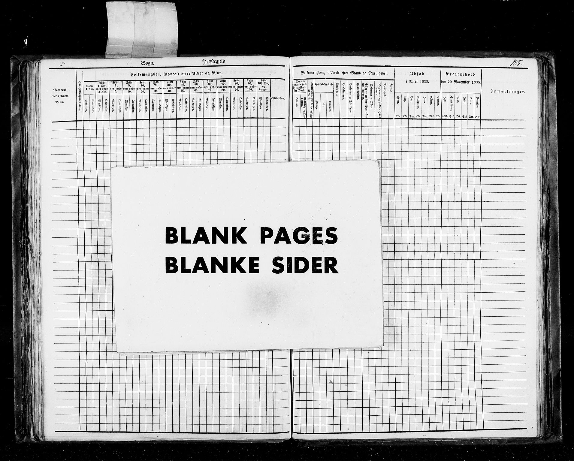 RA, Census 1835, vol. 5: Bratsberg amt og Nedenes og Råbyggelaget amt, 1835, p. 185