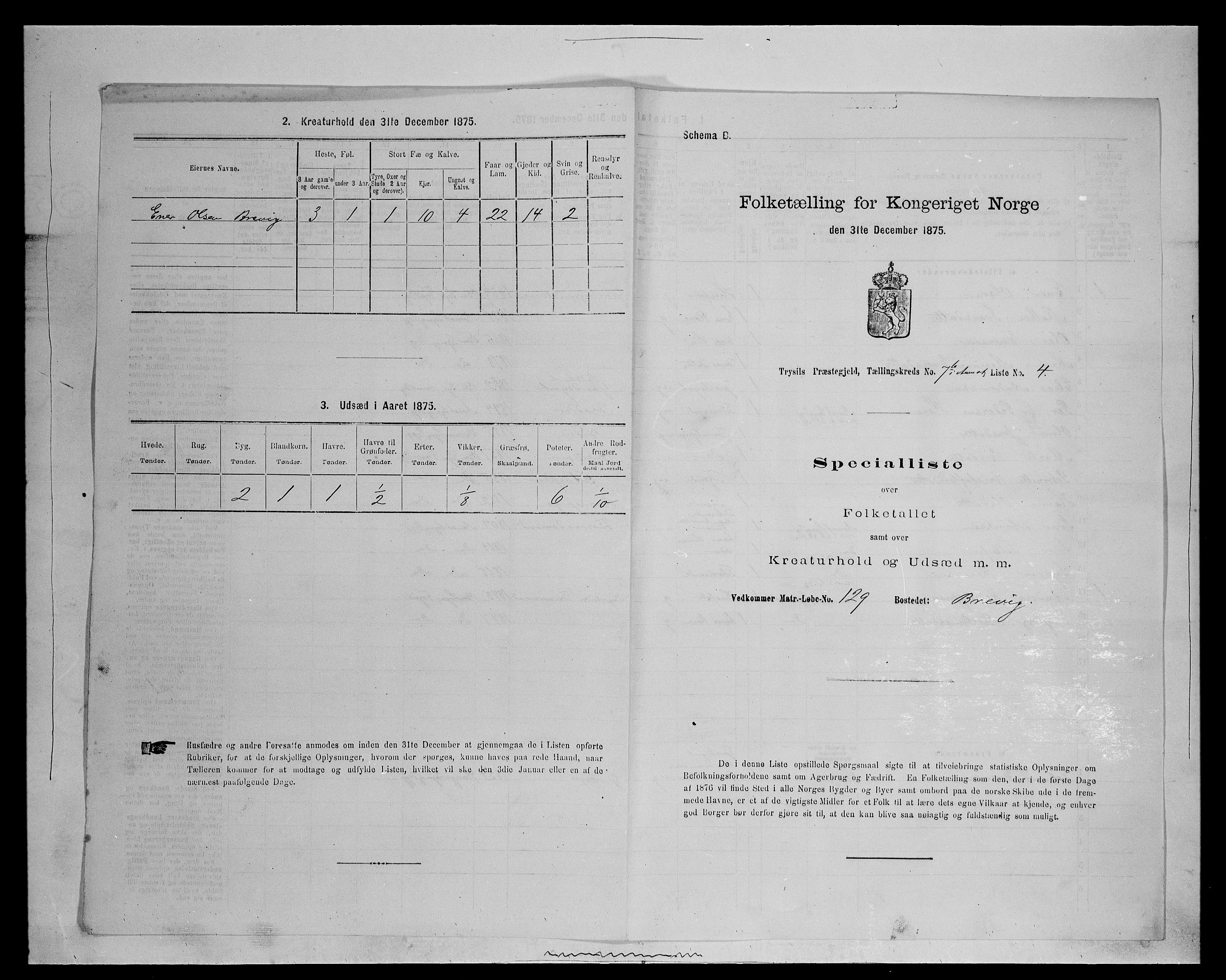 SAH, 1875 census for 0428P Trysil, 1875, p. 1438