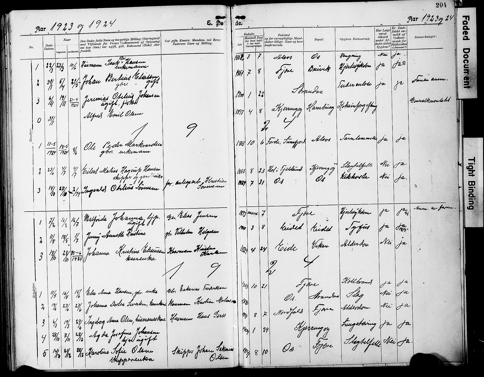 Ministerialprotokoller, klokkerbøker og fødselsregistre - Nordland, SAT/A-1459/803/L0077: Parish register (copy) no. 803C04, 1897-1930, p. 204
