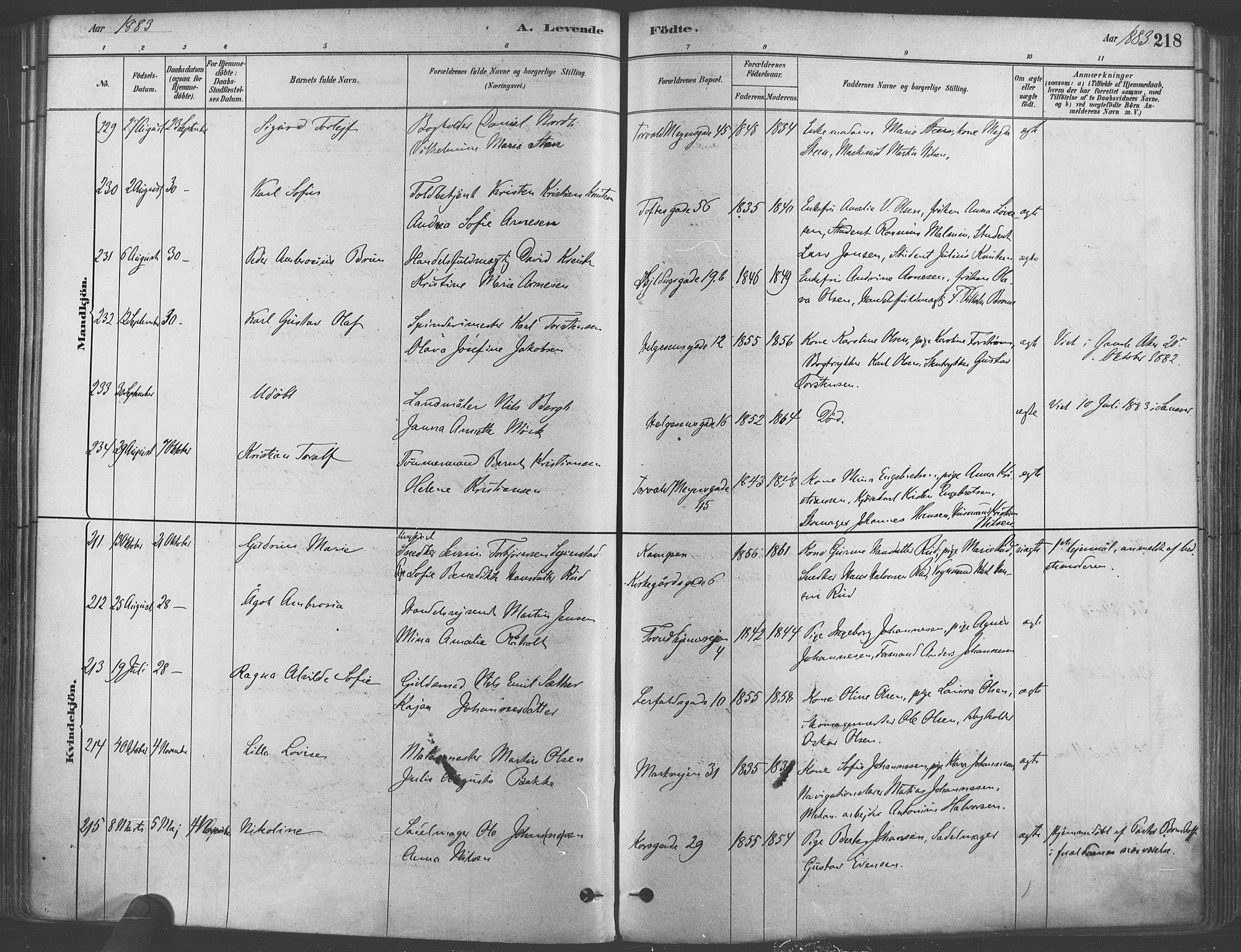 Paulus prestekontor Kirkebøker, AV/SAO-A-10871/F/Fa/L0003: Parish register (official) no. 3, 1879-1887, p. 218