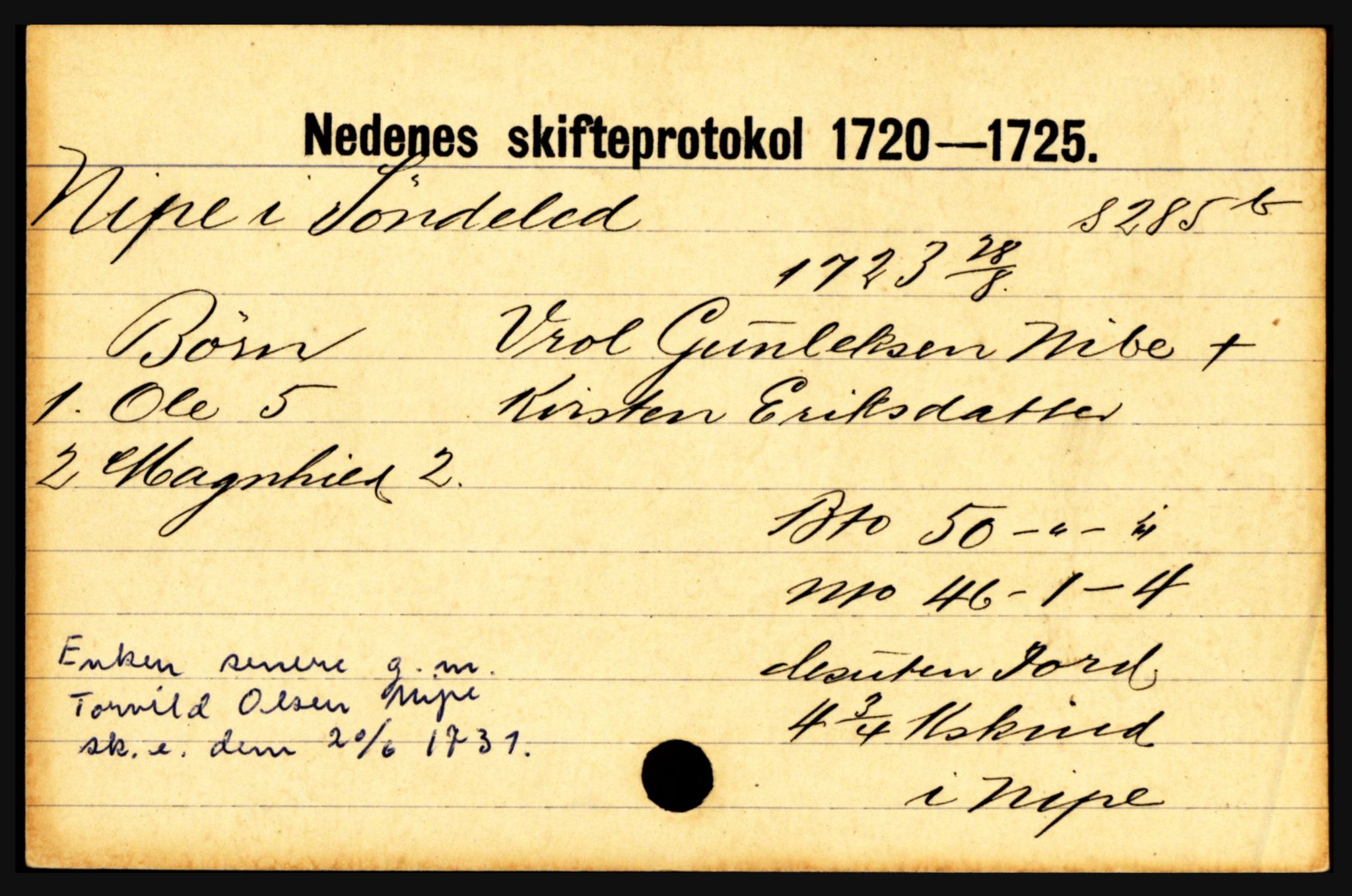 Nedenes sorenskriveri før 1824, AV/SAK-1221-0007/H, p. 22213