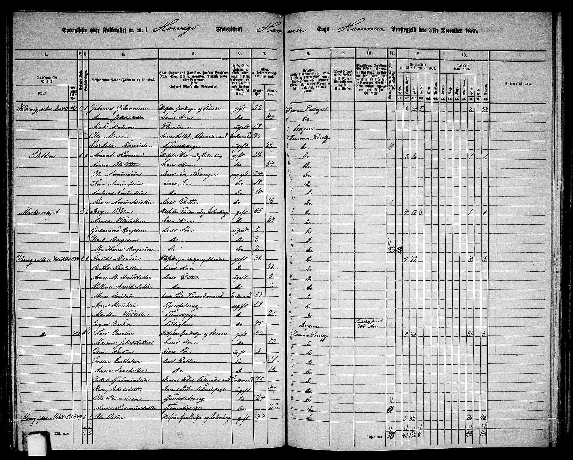 RA, 1865 census for Hamre, 1865, p. 169